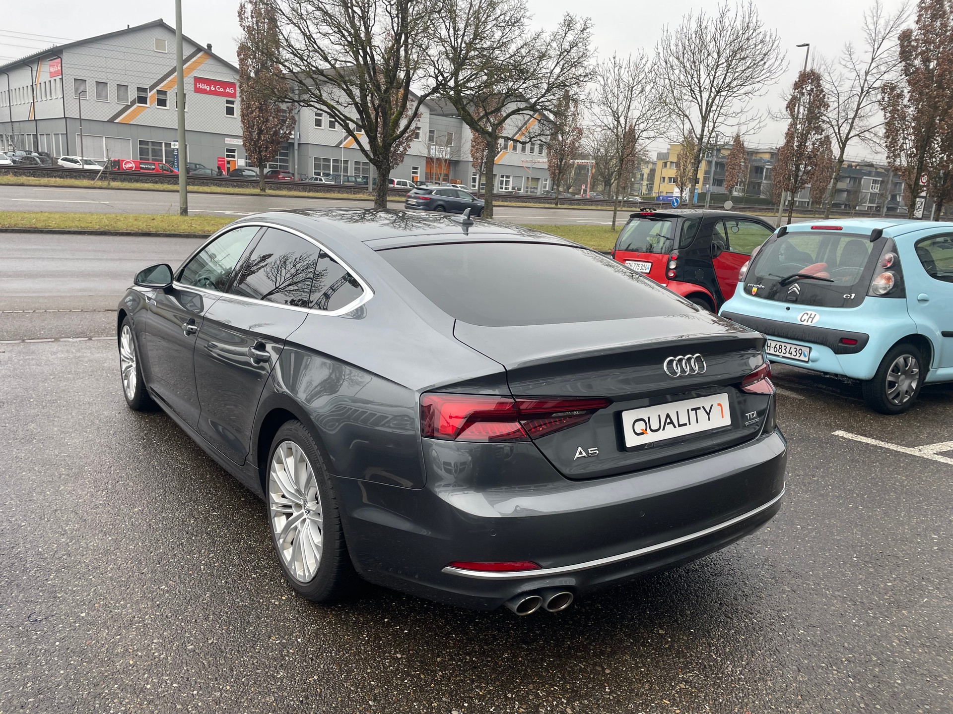 AUDI A5 Sportback 3.0 TDI Sport quattro S-tronic-showroom-element-3