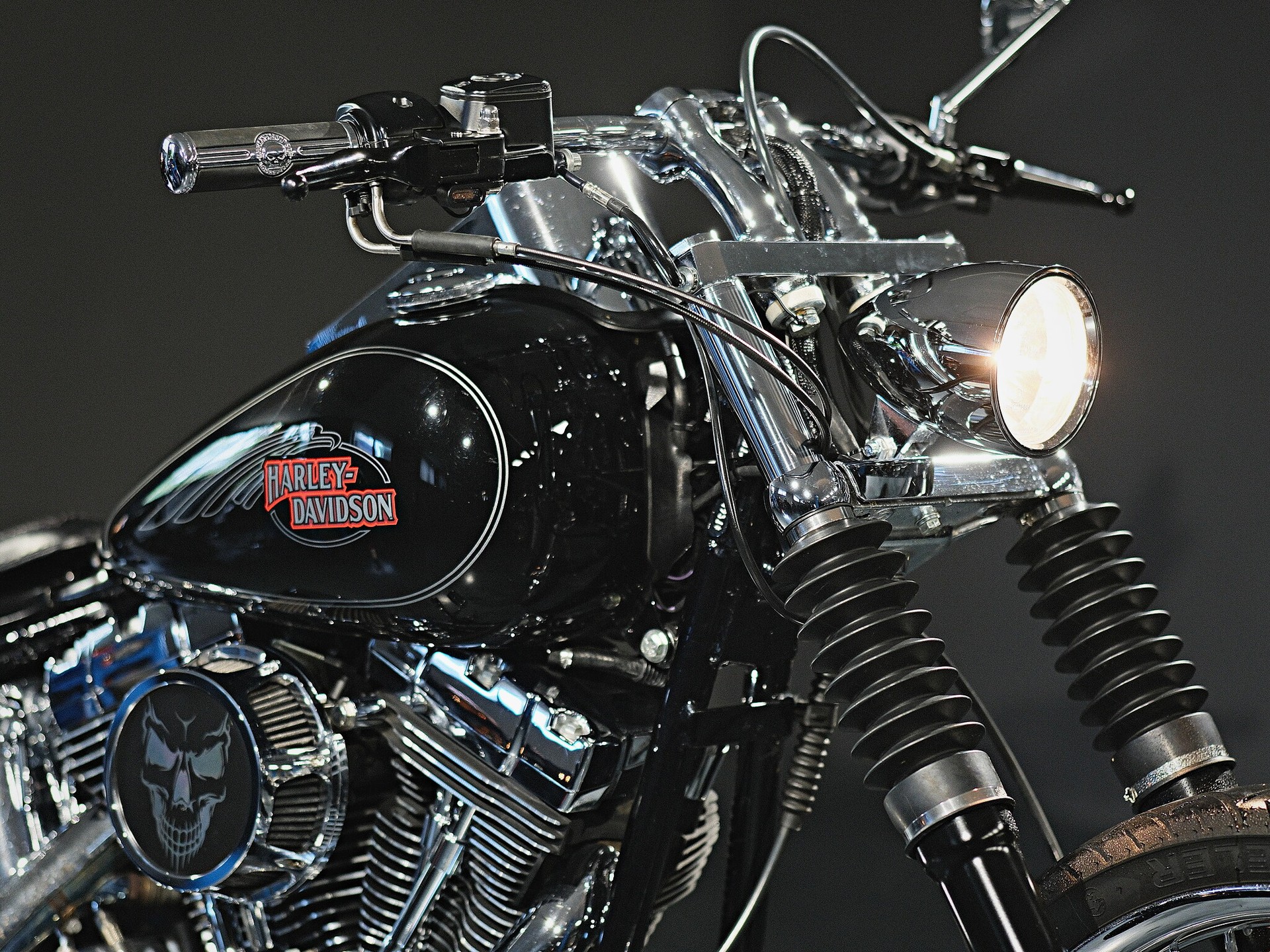 HARLEY-DAVIDSON FXSTC Softail Custom-image-9