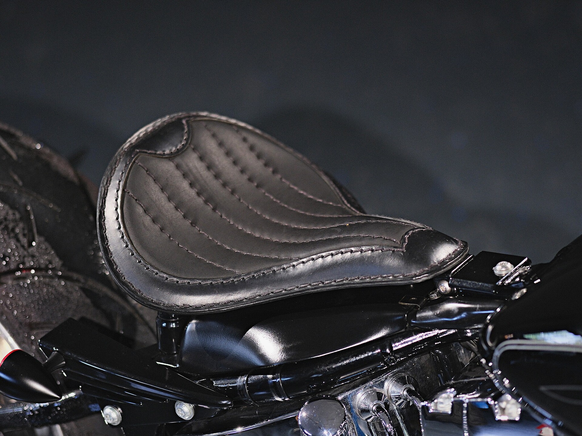 HARLEY-DAVIDSON FXSTC Softail Custom-image-10