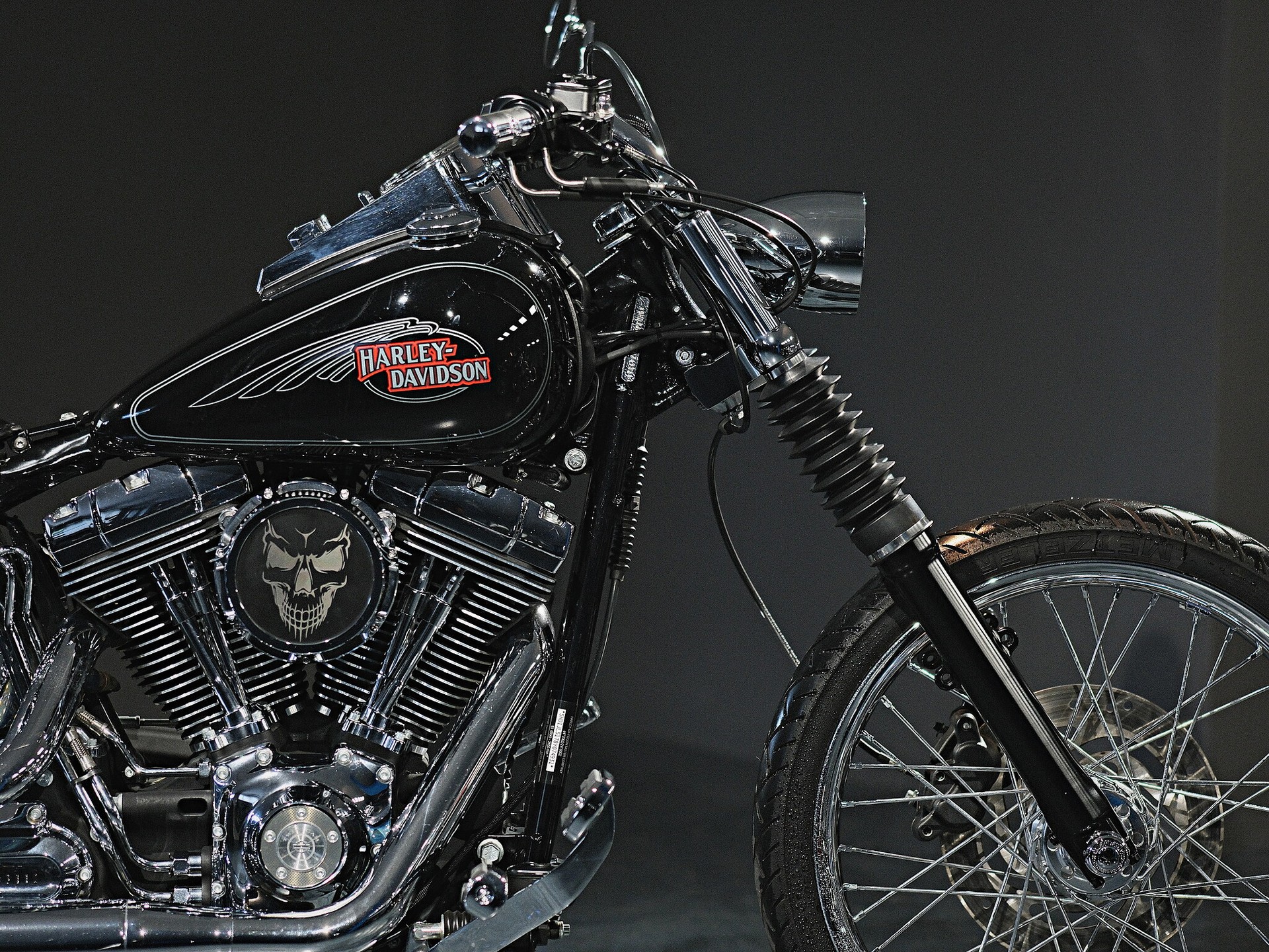 HARLEY-DAVIDSON FXSTC Softail Custom-image-11