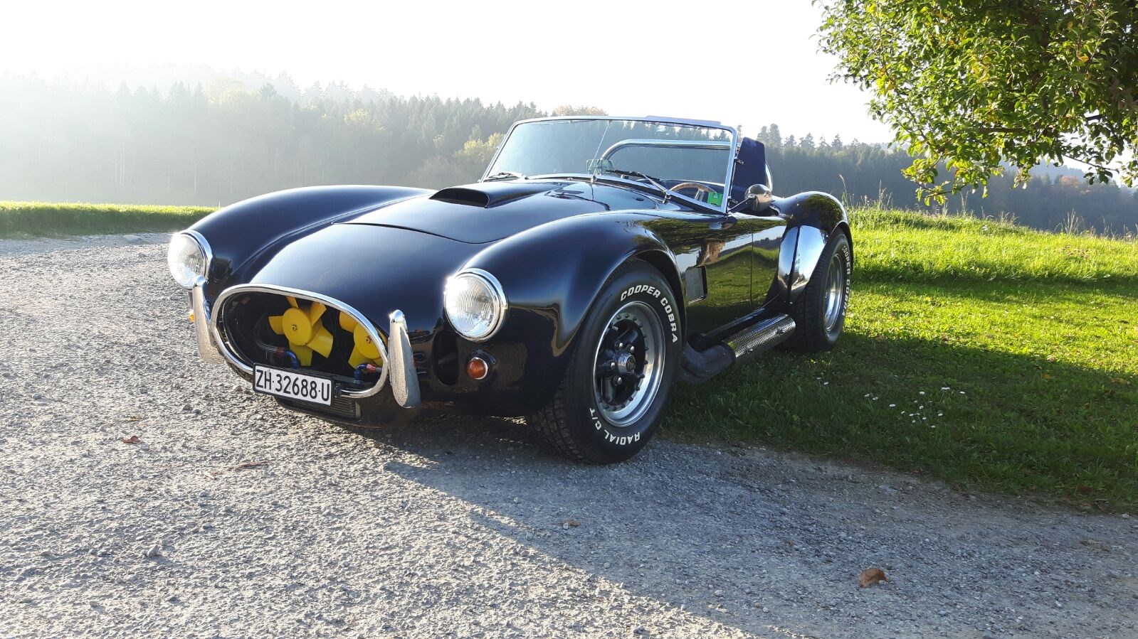 AC Cobra Dax 427