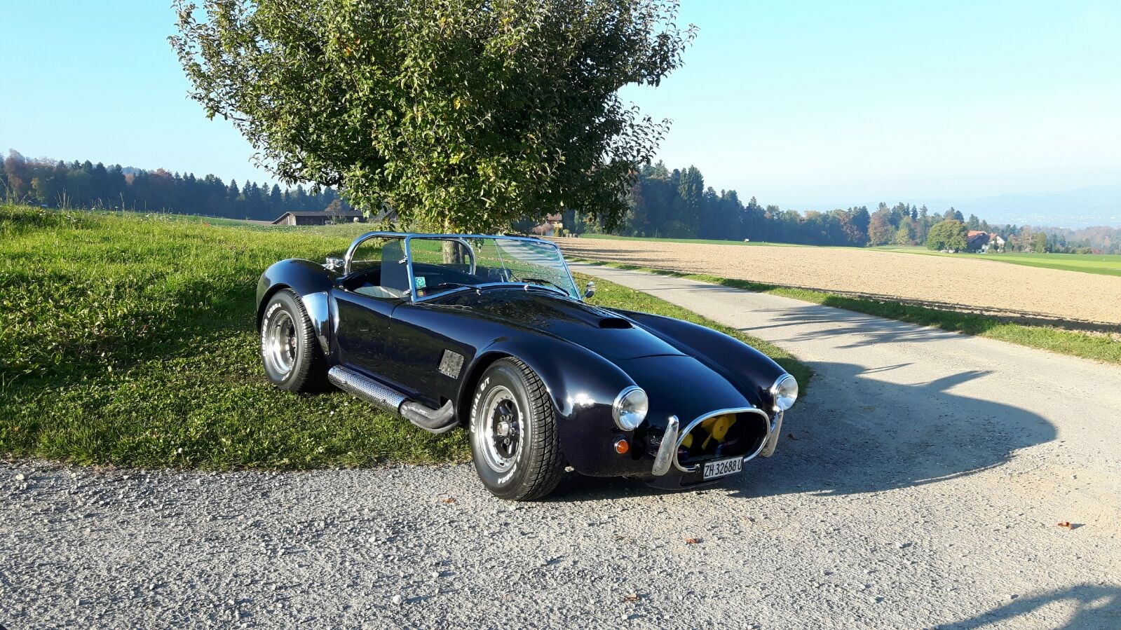 AC Cobra Dax 427-image-1