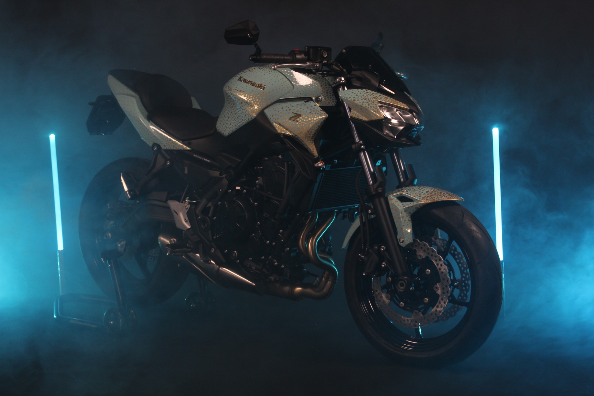 KAWASAKI Z 650 (50/35 KW) *Maya* Level 2-image-11