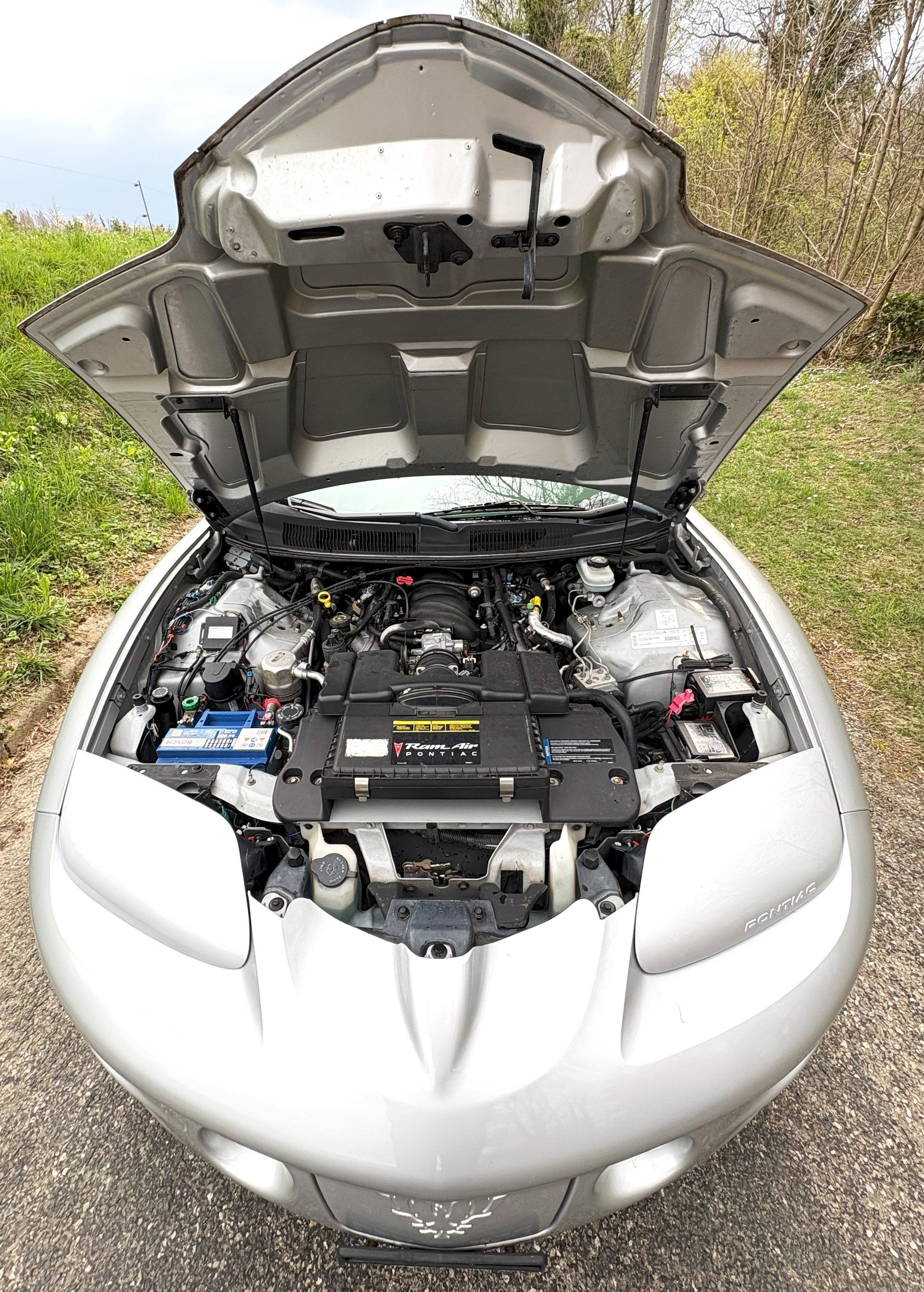 PONTIAC FIREBIRD TRANS AM W5.6-image-13