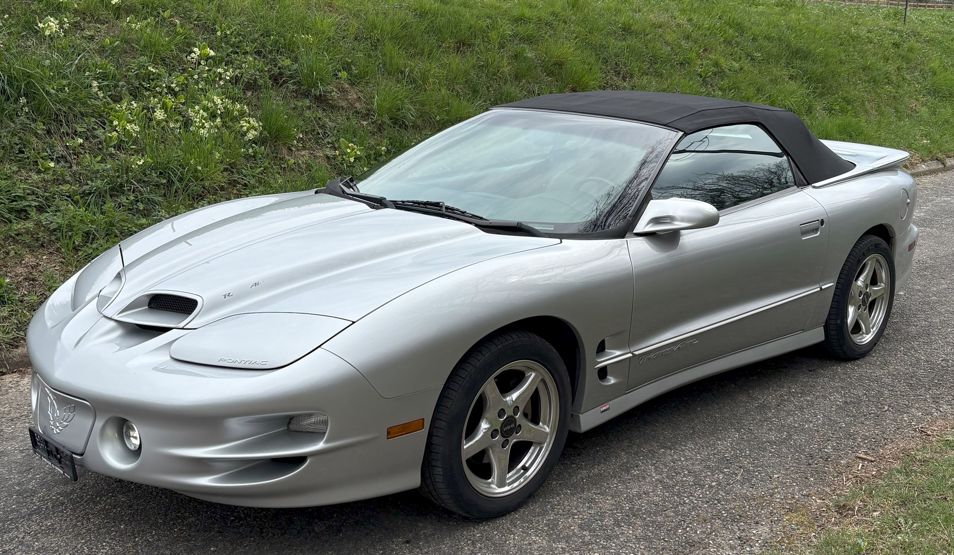 PONTIAC FIREBIRD TRANS AM W5.6-image-2