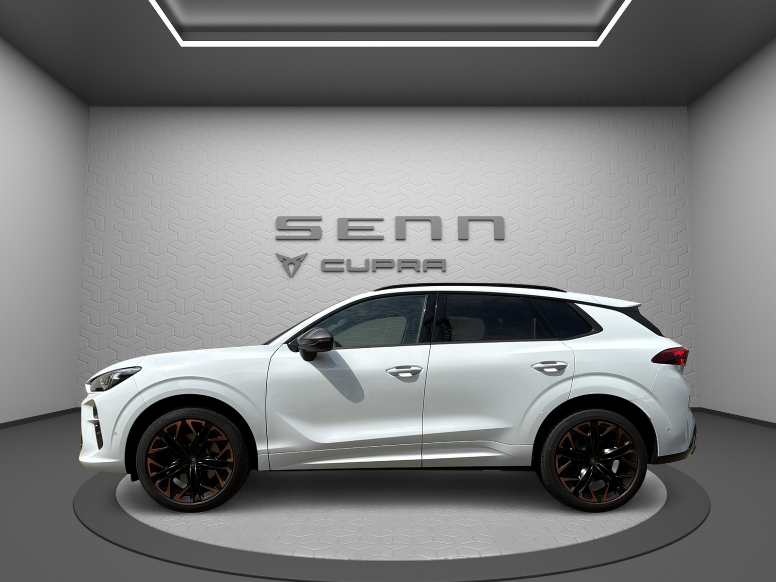 CUPRA Terramar 2.0 TSI DSG 4Drive VZ-showroom-element-1