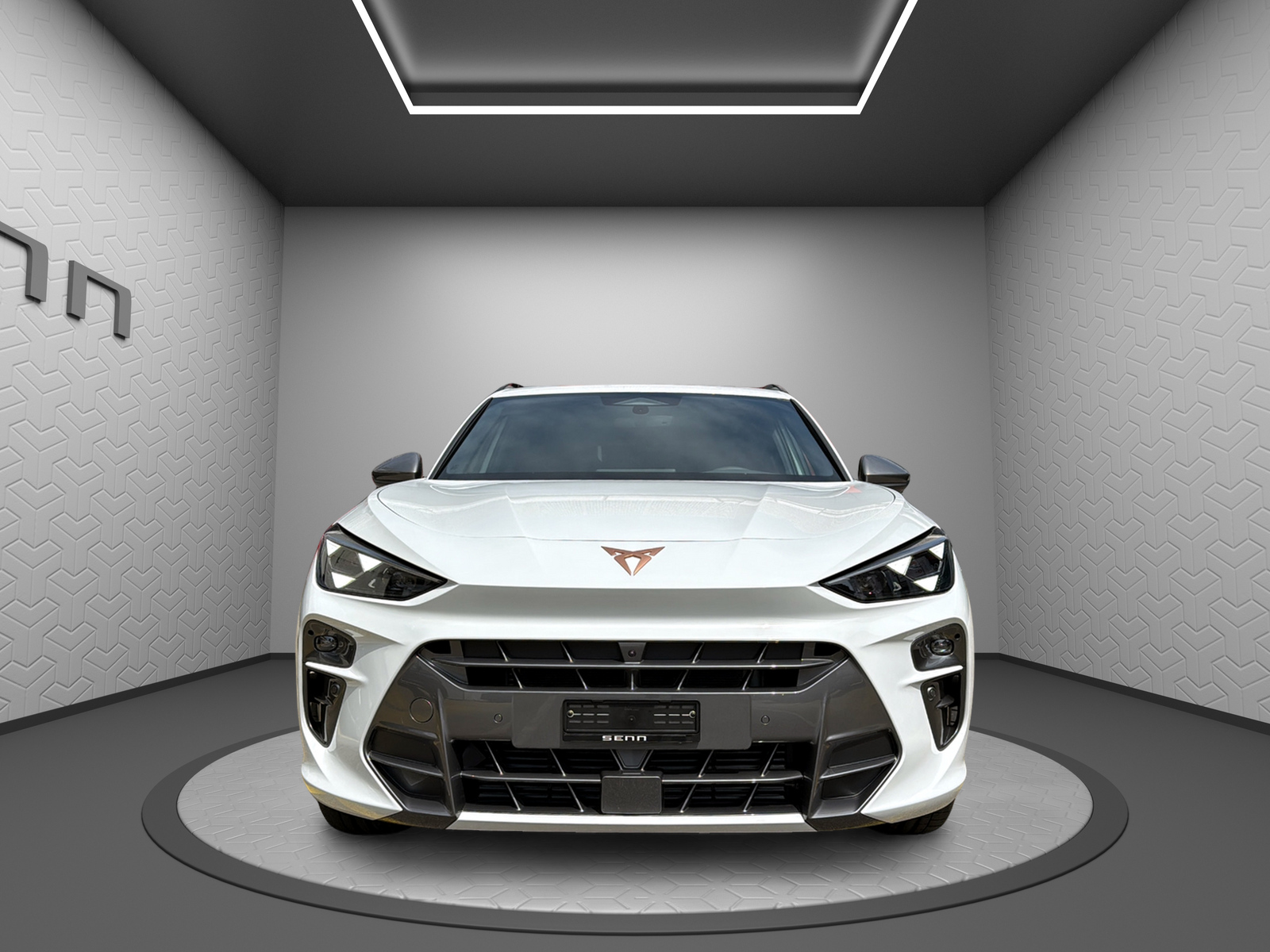 CUPRA Terramar 2.0 TSI DSG 4Drive VZ-showroom-element-3