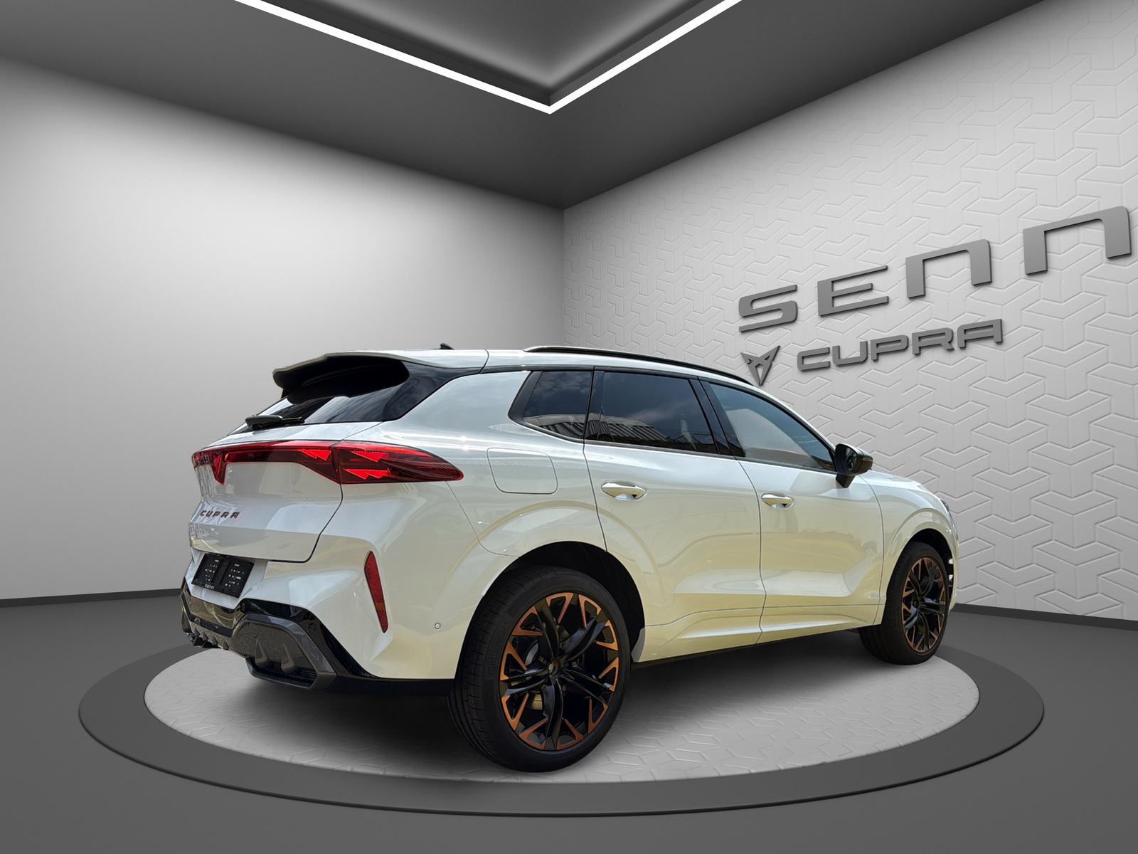 CUPRA Terramar 2.0 TSI DSG 4Drive VZ-showroom-element-2