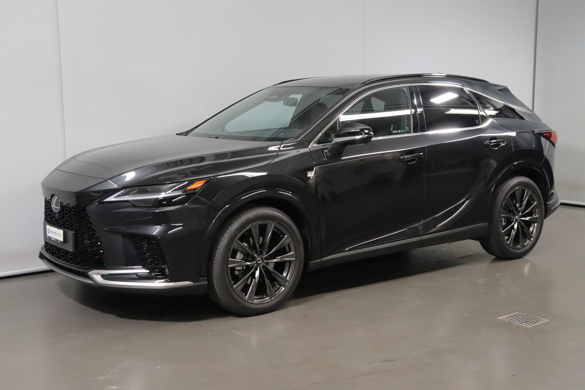 LEXUS RX 350h F-Line-showroom-element-1
