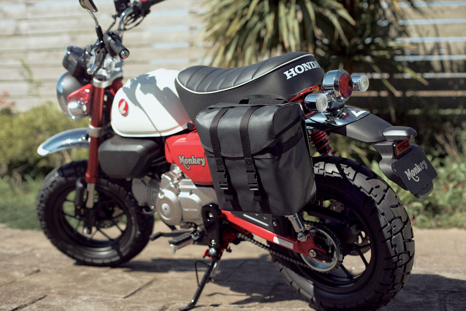 HONDA Z 125 MA Monkey-image-2