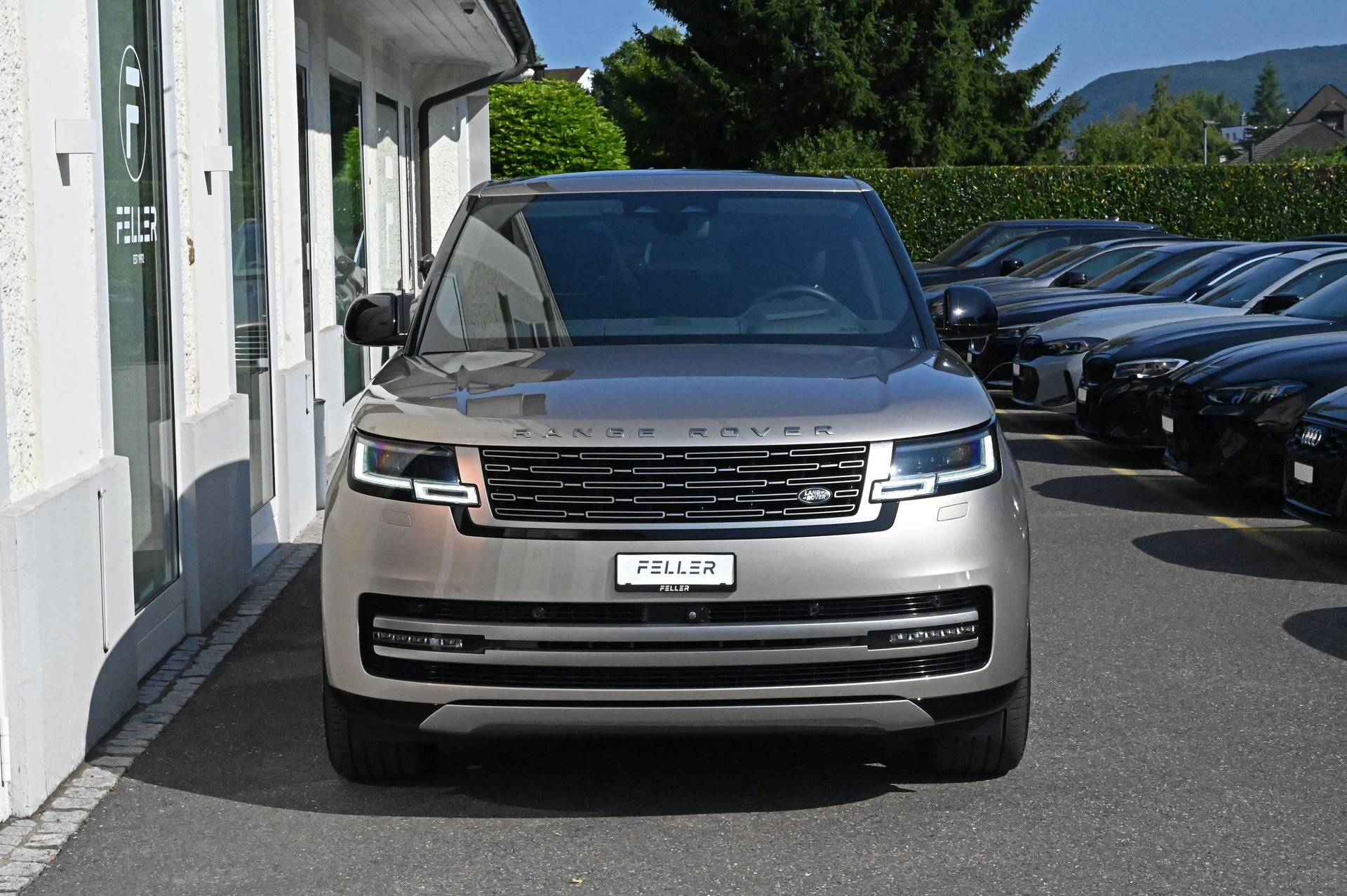 LAND ROVER Range Rover D350 3.0D I6 MHEV HSE Automatic-showroom-element-2