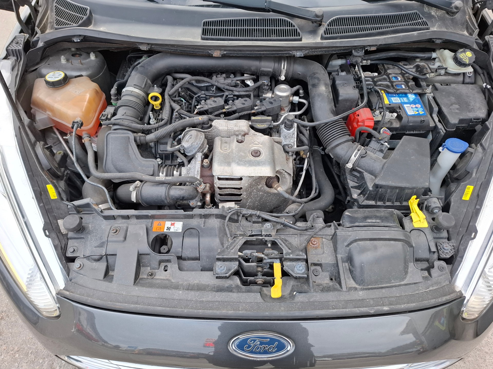 FORD Fiesta 1.0 SCTi Freetech-image-6