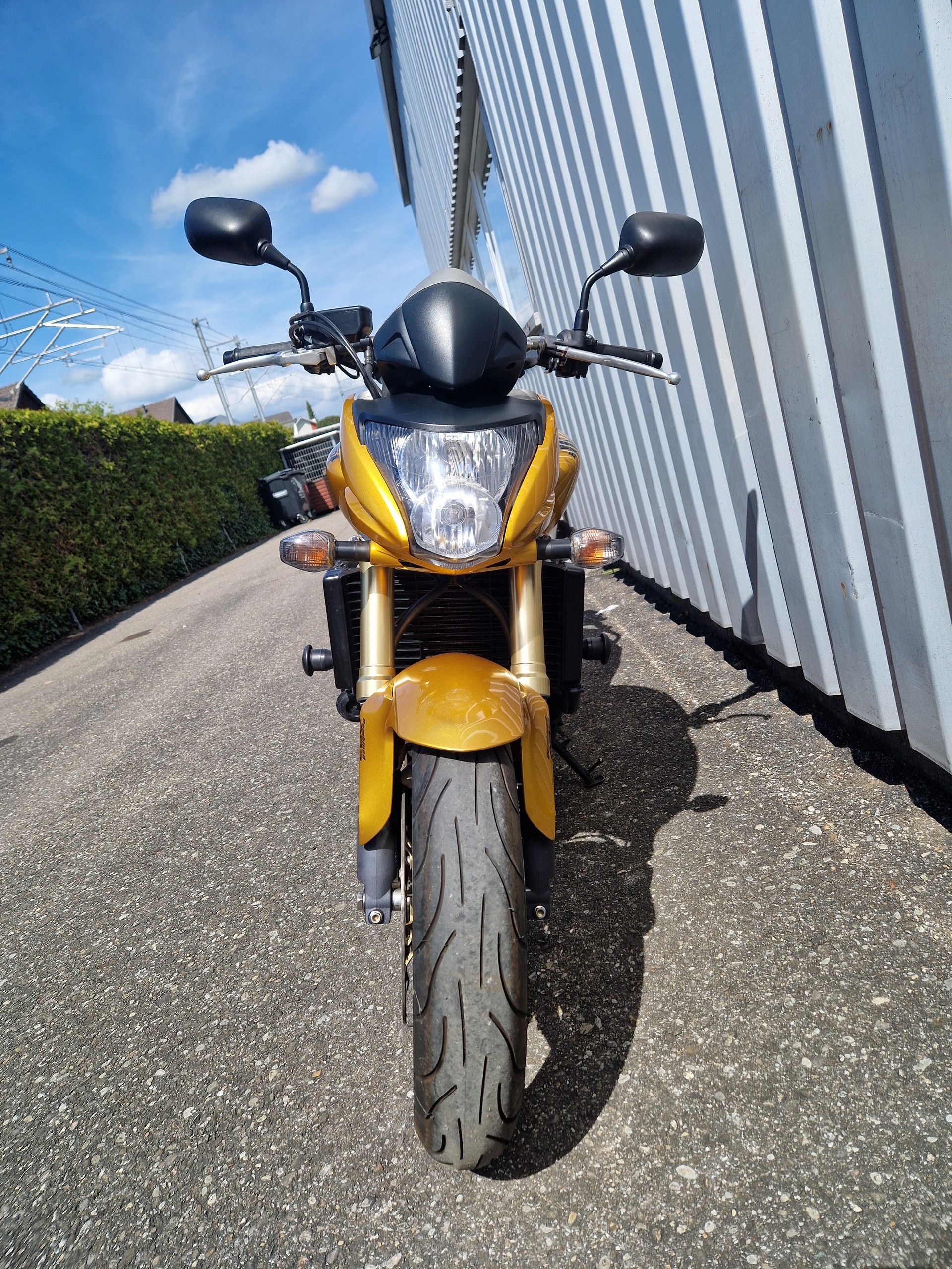 HONDA CB 600 F ABS Hornet Kundenauftrag-image-2
