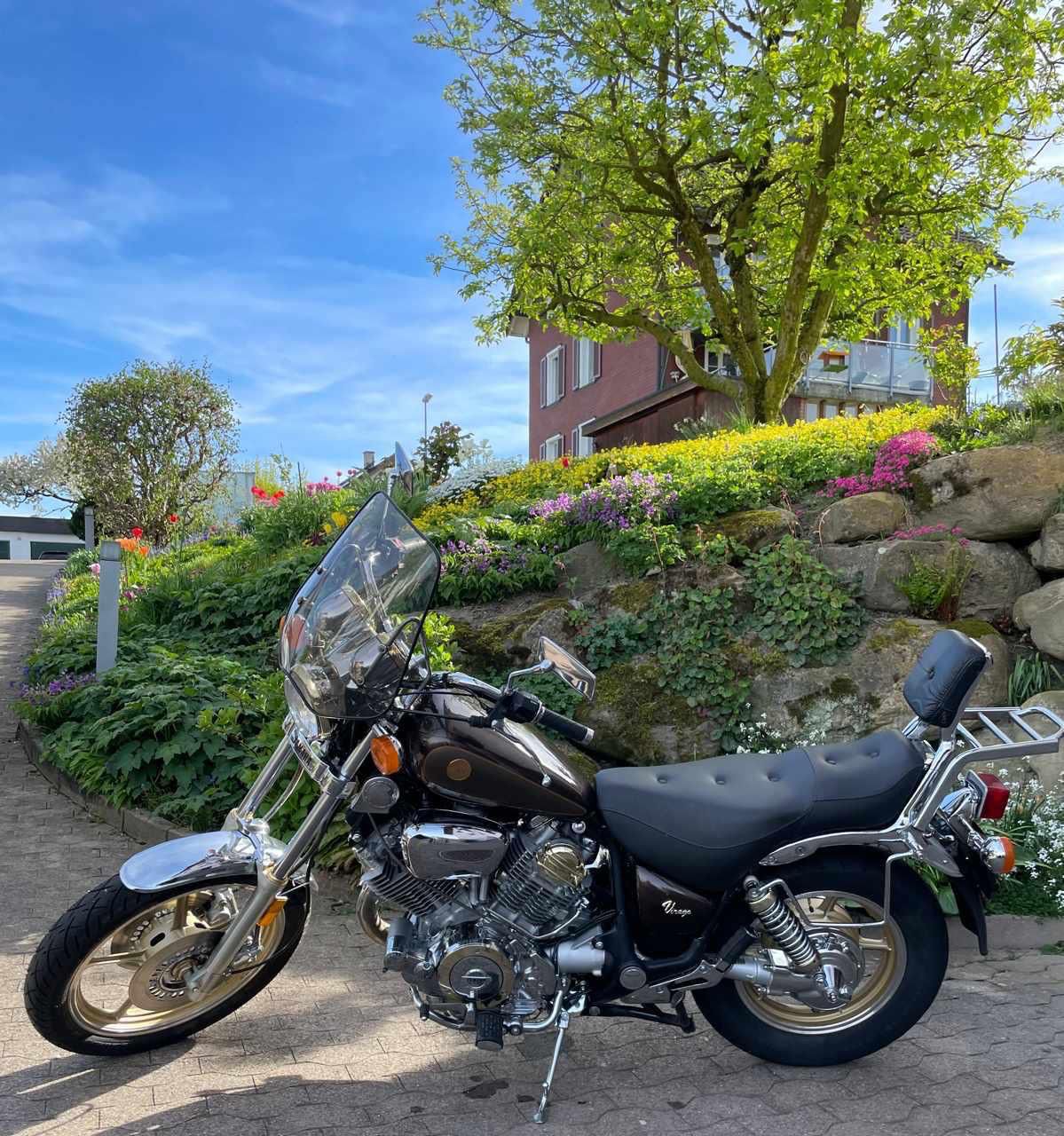 YAMAHA XV 1000 Virago-image-1