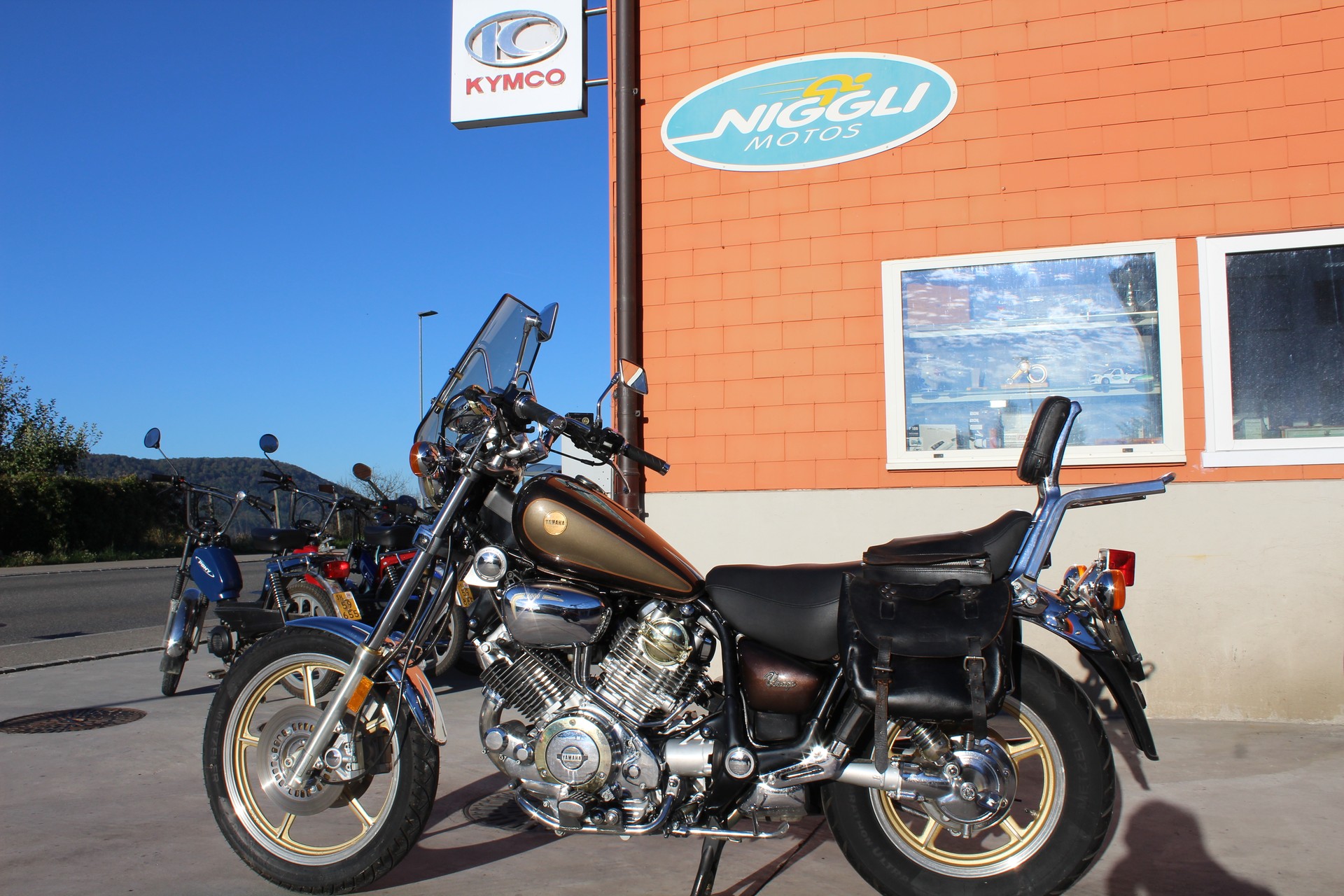 YAMAHA XV 1000 Virago-image-8