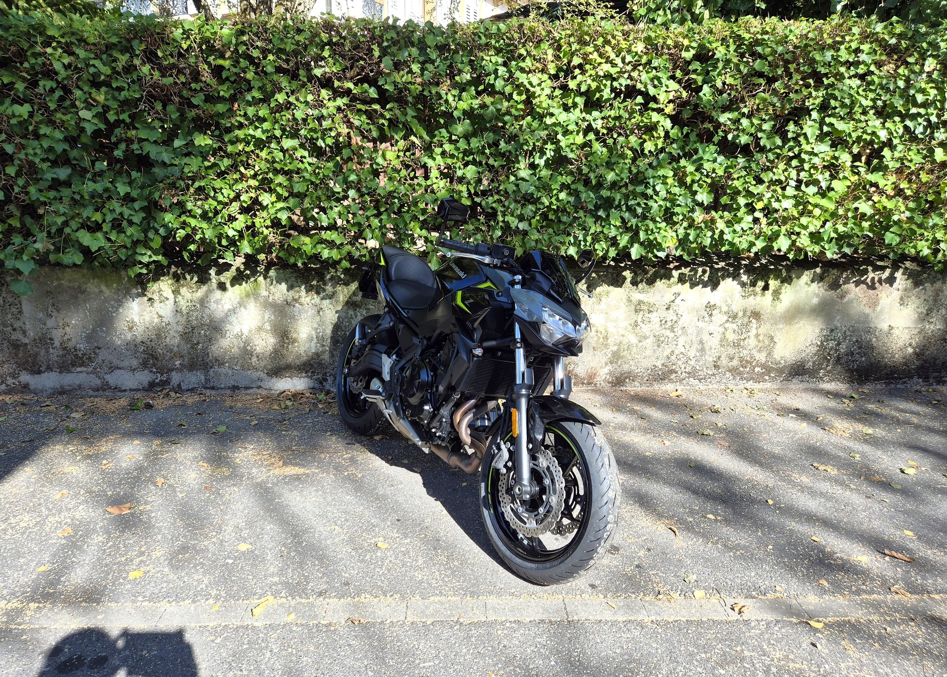 KAWASAKI Z 650 (35kW)-image-5