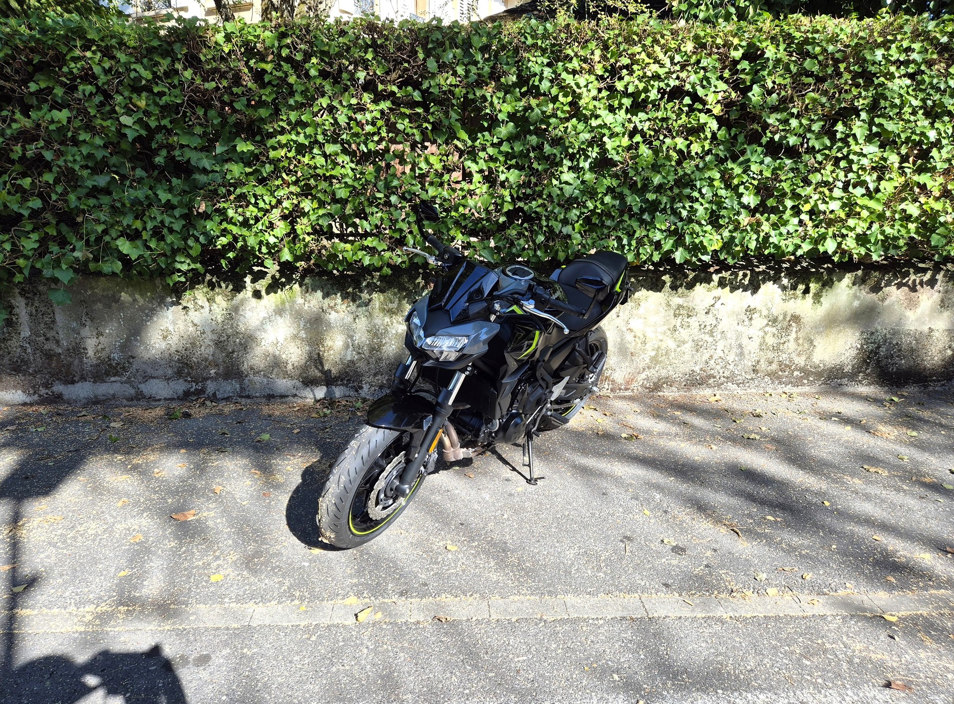 KAWASAKI Z 650 (35kW)-image-4