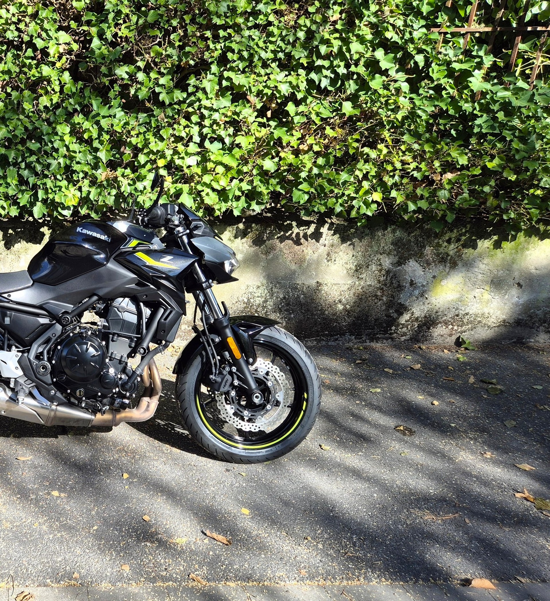KAWASAKI Z 650 (35kW)-image-11
