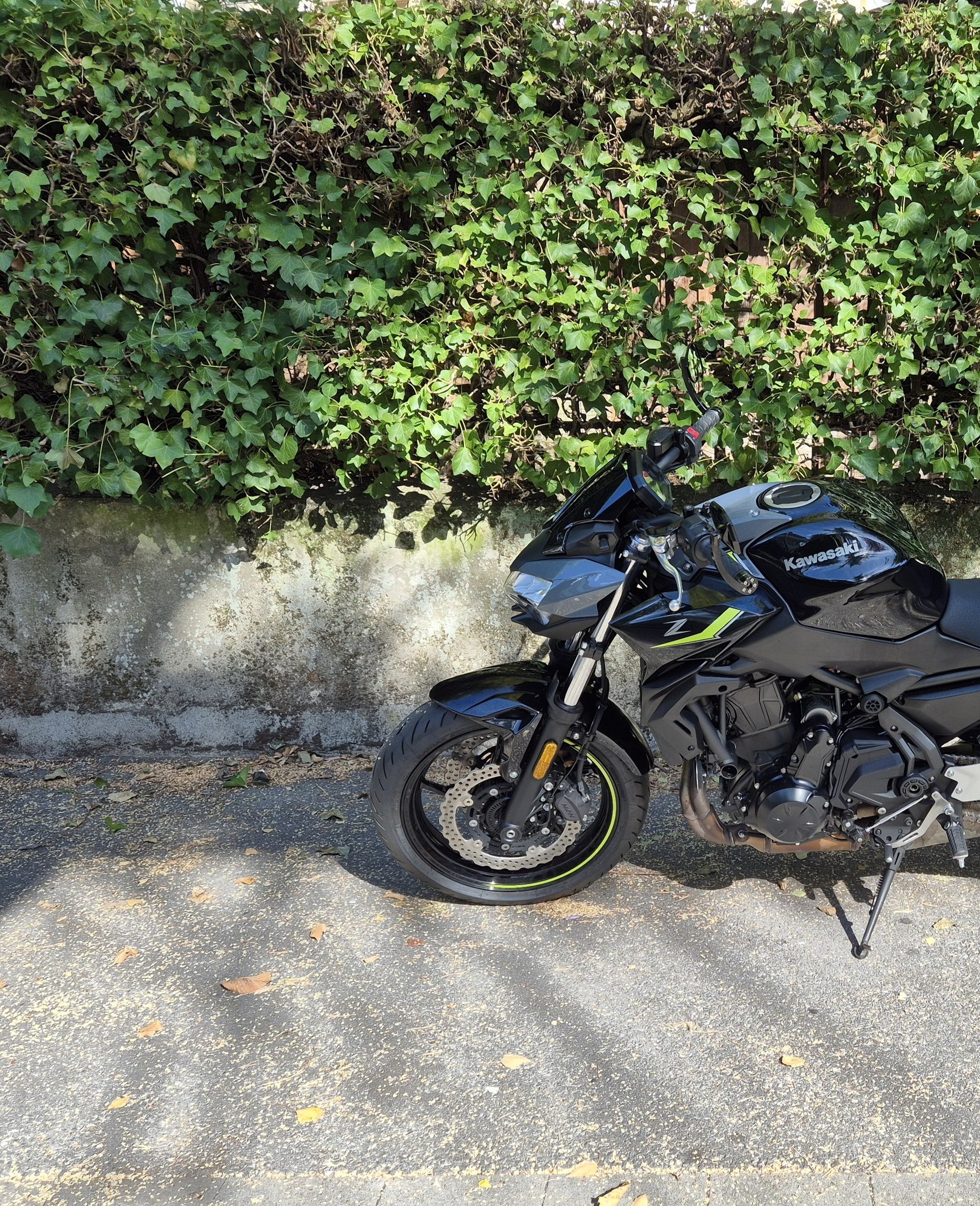 KAWASAKI Z 650 (35kW)-image-9