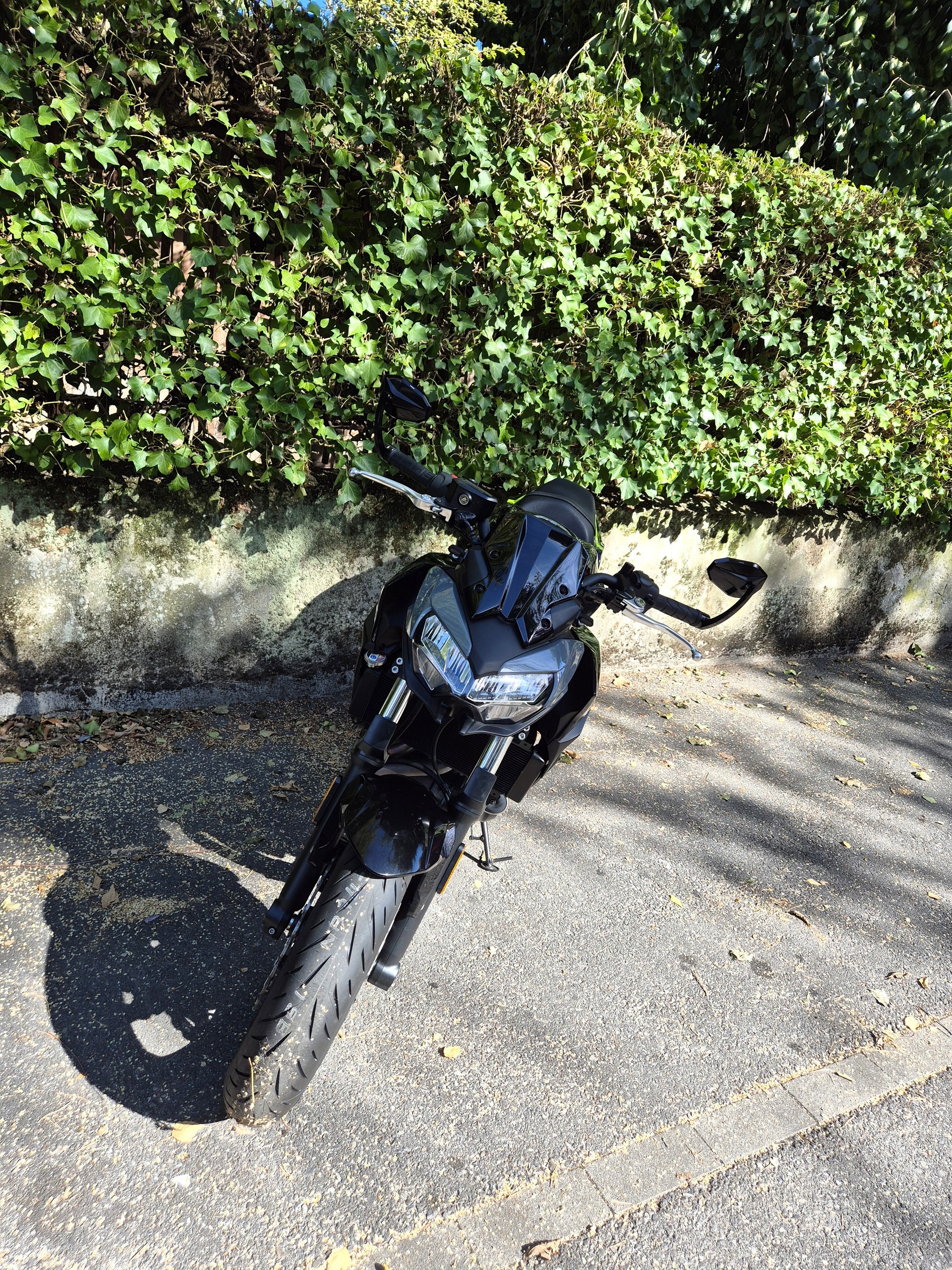 KAWASAKI Z 650 (35kW)-image-6