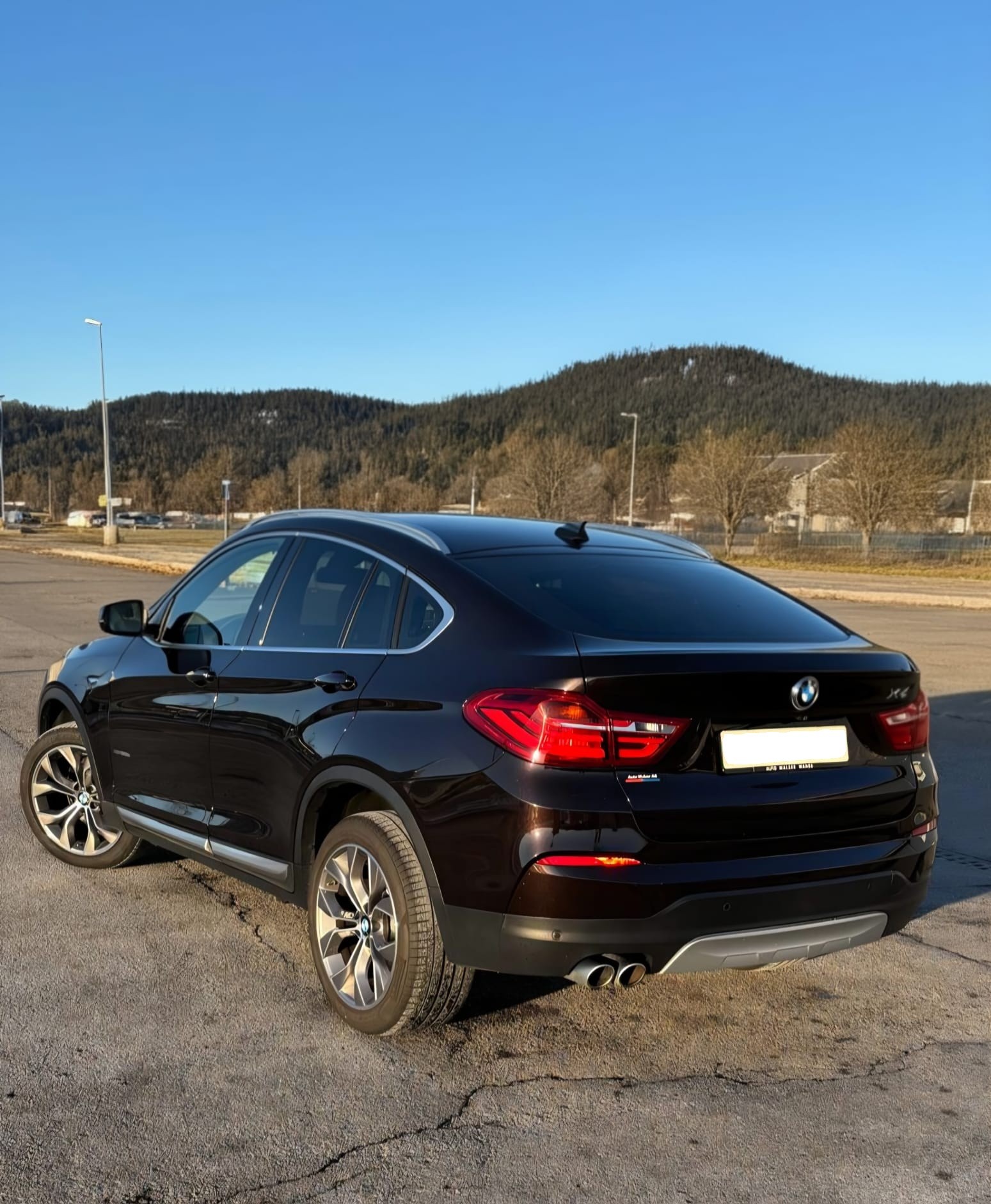 BMW X4 xDrive 30d xLine Steptronic-image-3