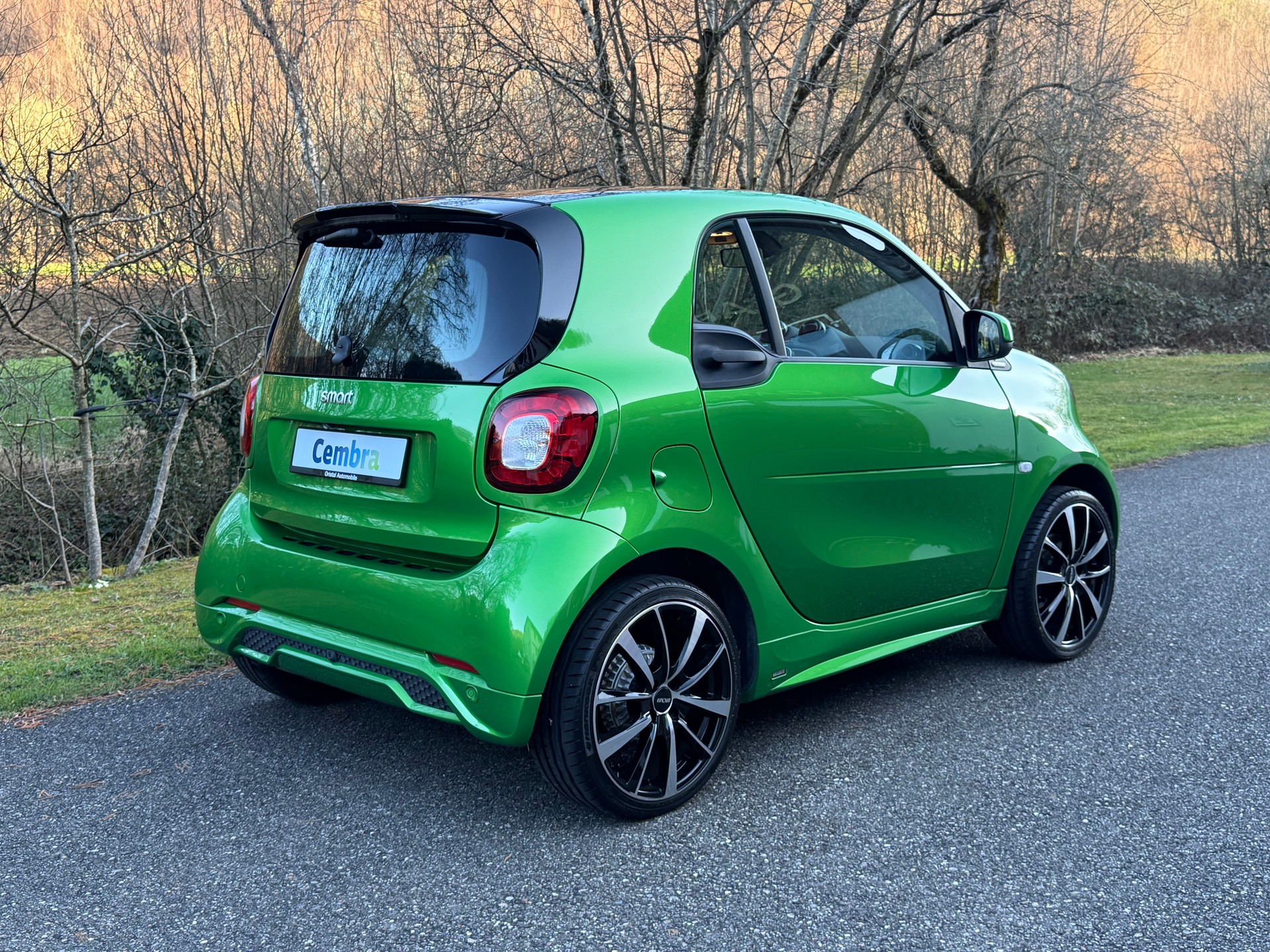 SMART Fortwo Brabus Style Tailor Made-image-5