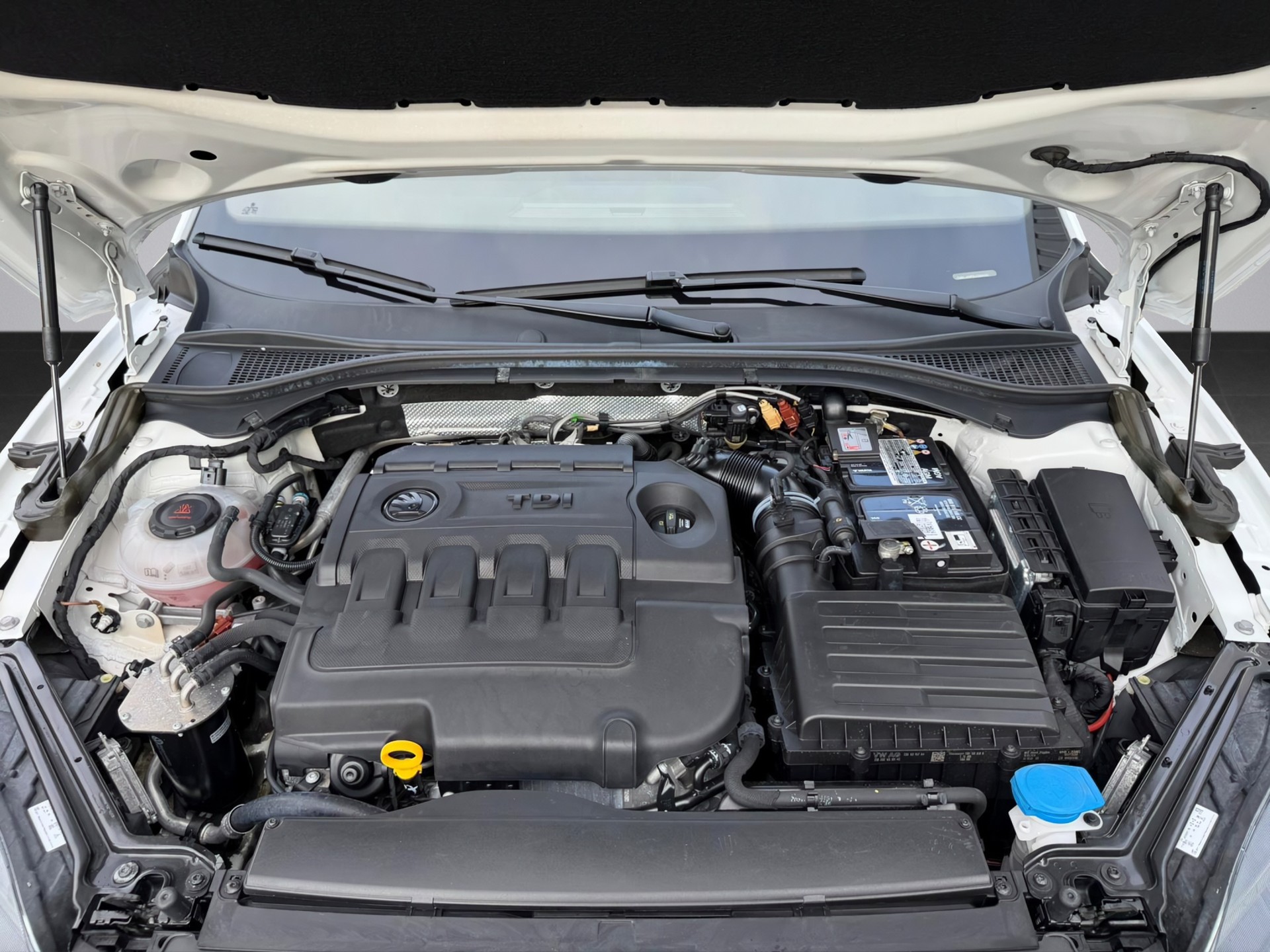 SKODA Superb Combi 2.0 TDi SportLine+ 4x4 DSG-image-14