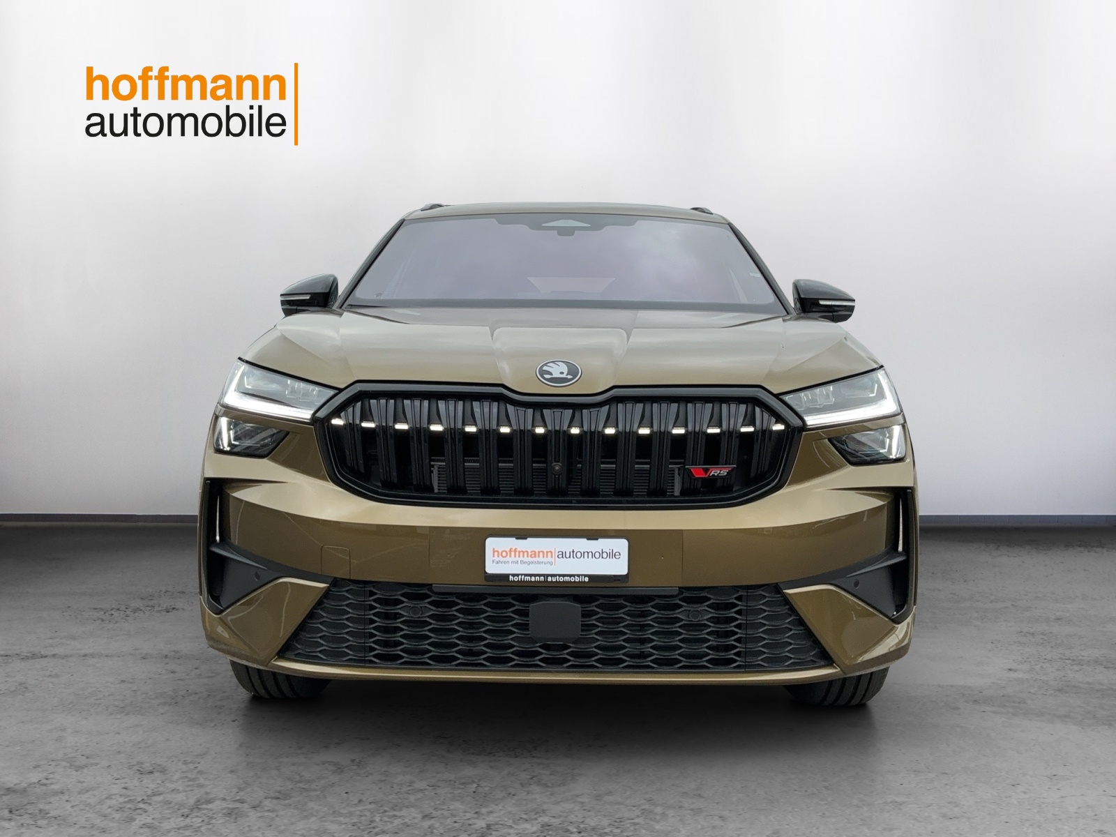 SKODA Kodiaq 2.0 TSI RS 4x4-showroom-element-1