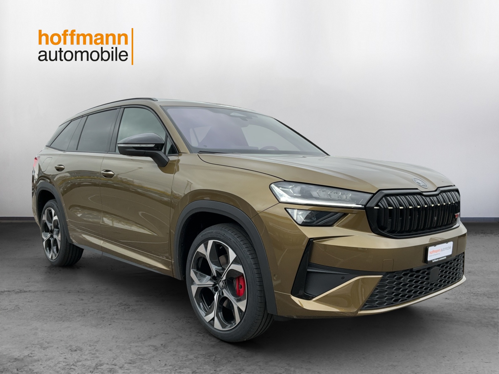 SKODA Kodiaq 2.0 TSI RS 4x4-showroom-element-2