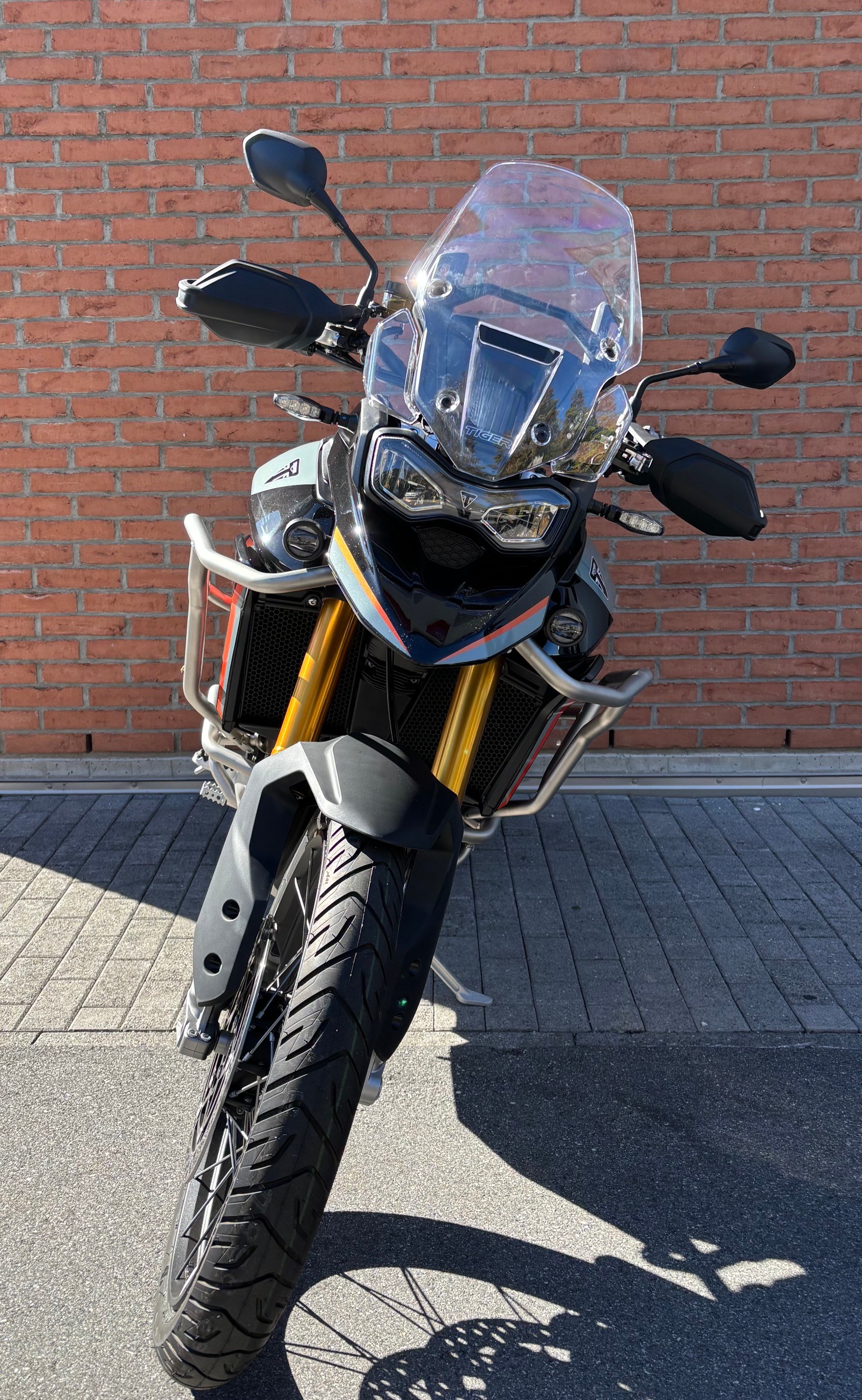 TRIUMPH Tiger 900 Desert Edition-image-2