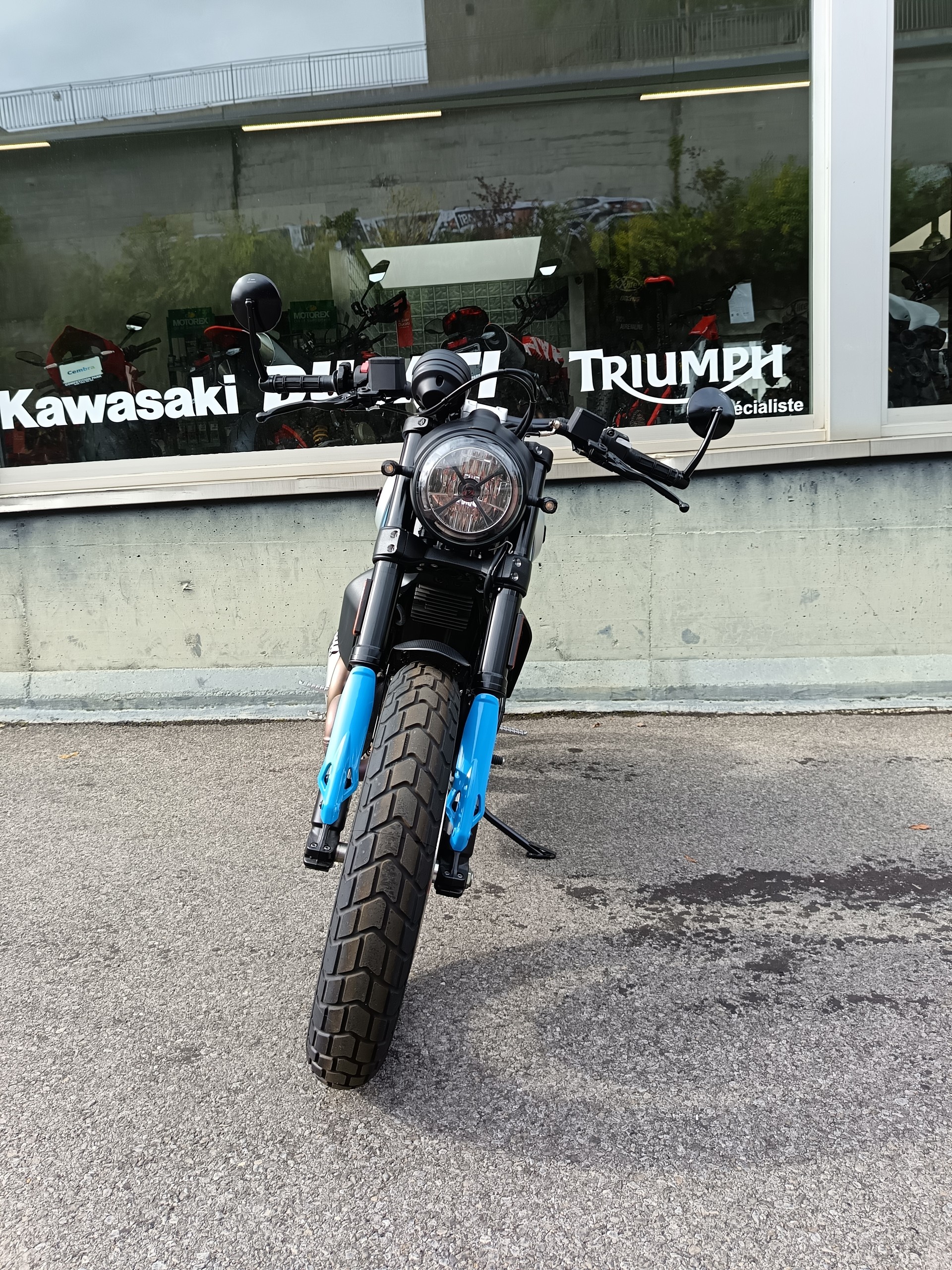 DUCATI Scrambler 803 Icon-image-3