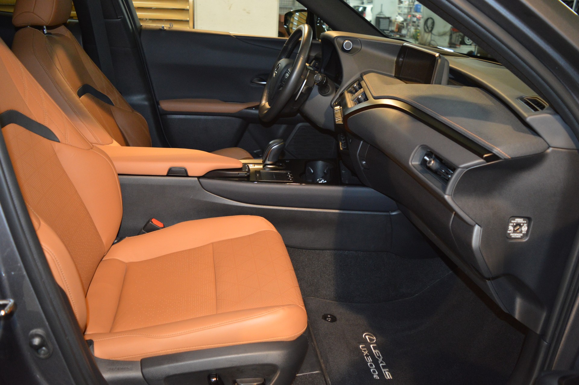 LEXUS UX 300e Excellence Automatic-image-15