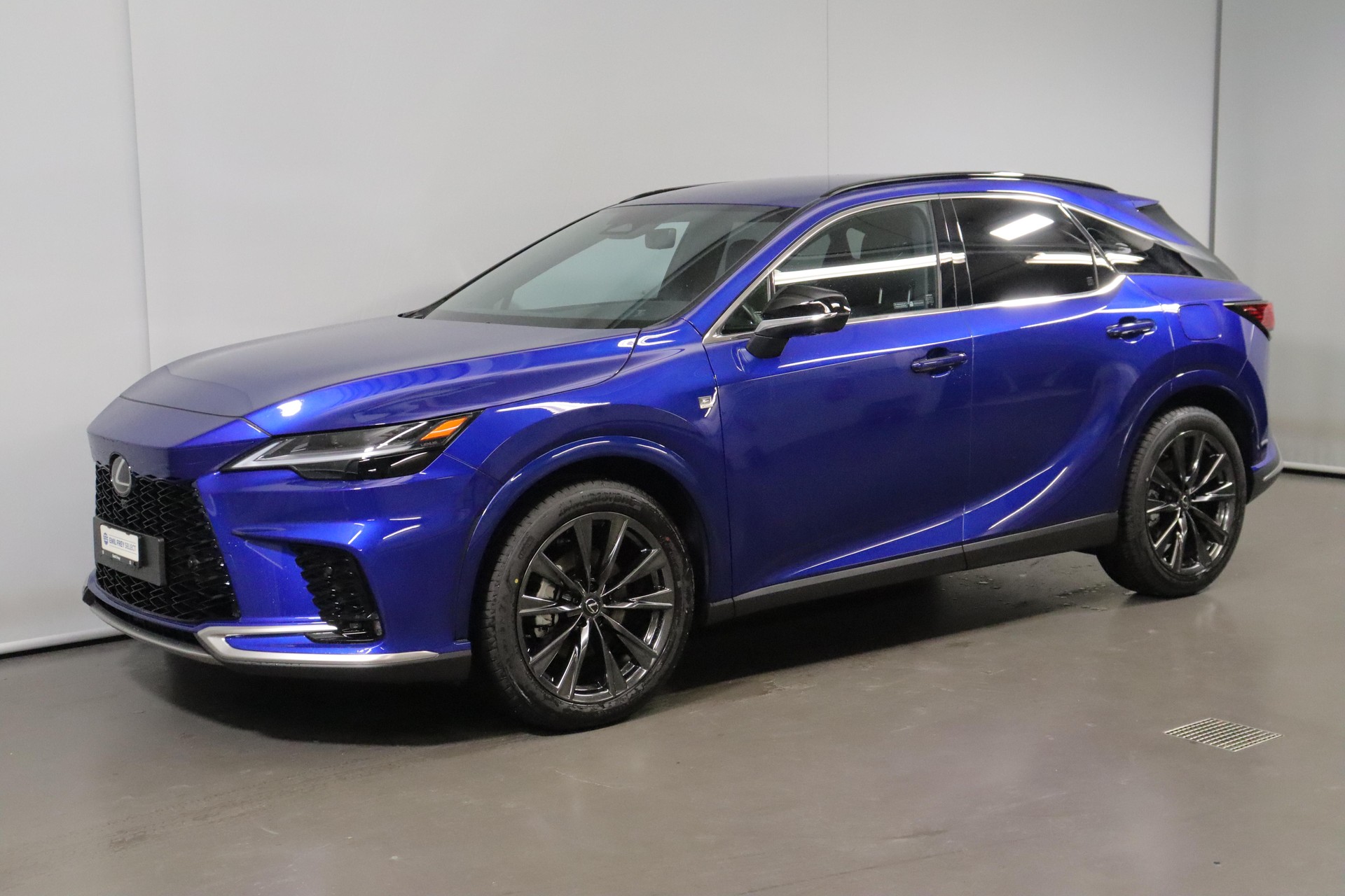 LEXUS RX 350h F-Line-showroom-element-1