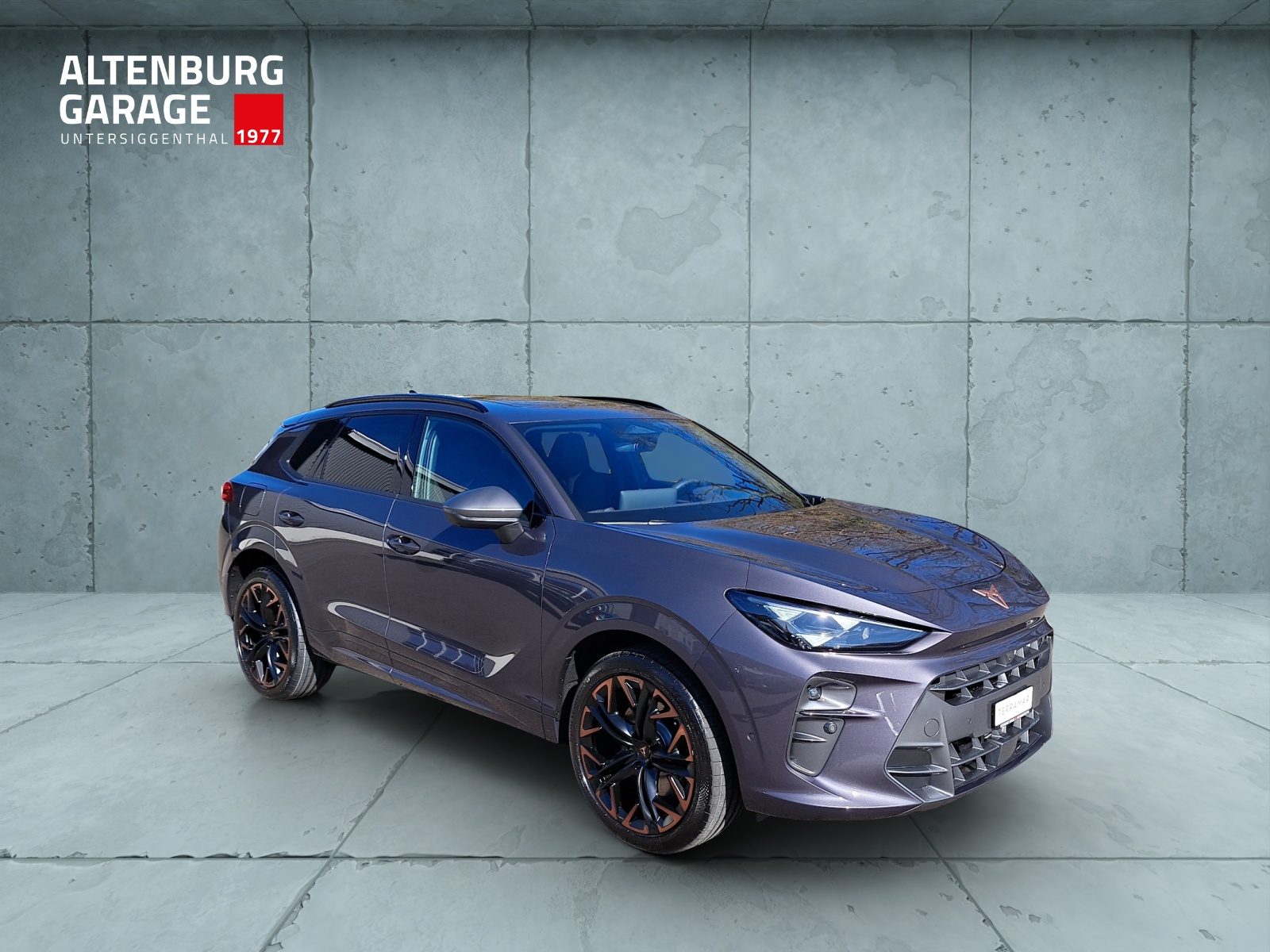 CUPRA Terramar 2.0 TSI DSG Prime Edition VZ 4Drive-image-6