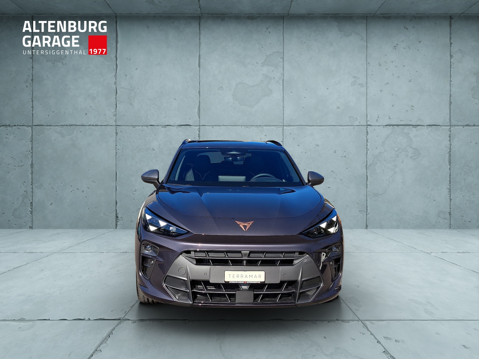 CUPRA Terramar 2.0 TSI DSG Prime Edition VZ 4Drive-image-7