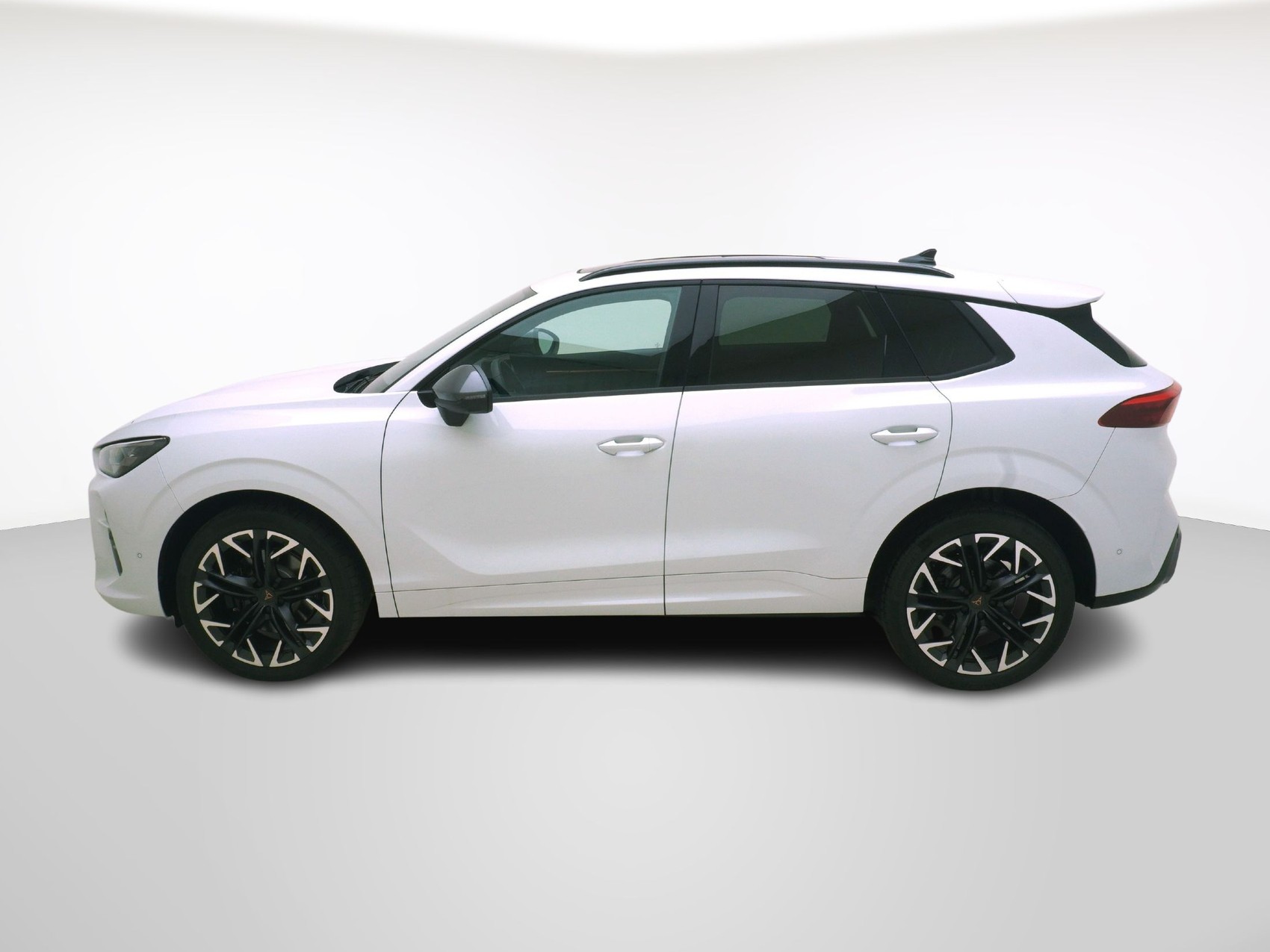 CUPRA Terramar 2.0 TSI VZ 4Drive DSG-showroom-element-1