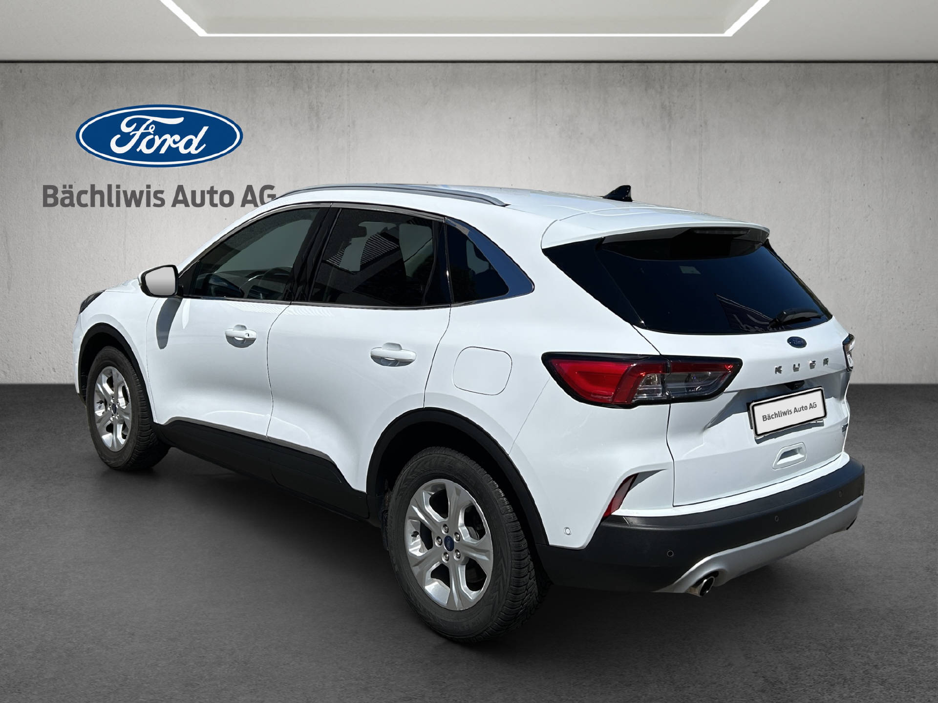 FORD Kuga 2.0 EcoBlue Hybrid Titanium X-showroom-element-2