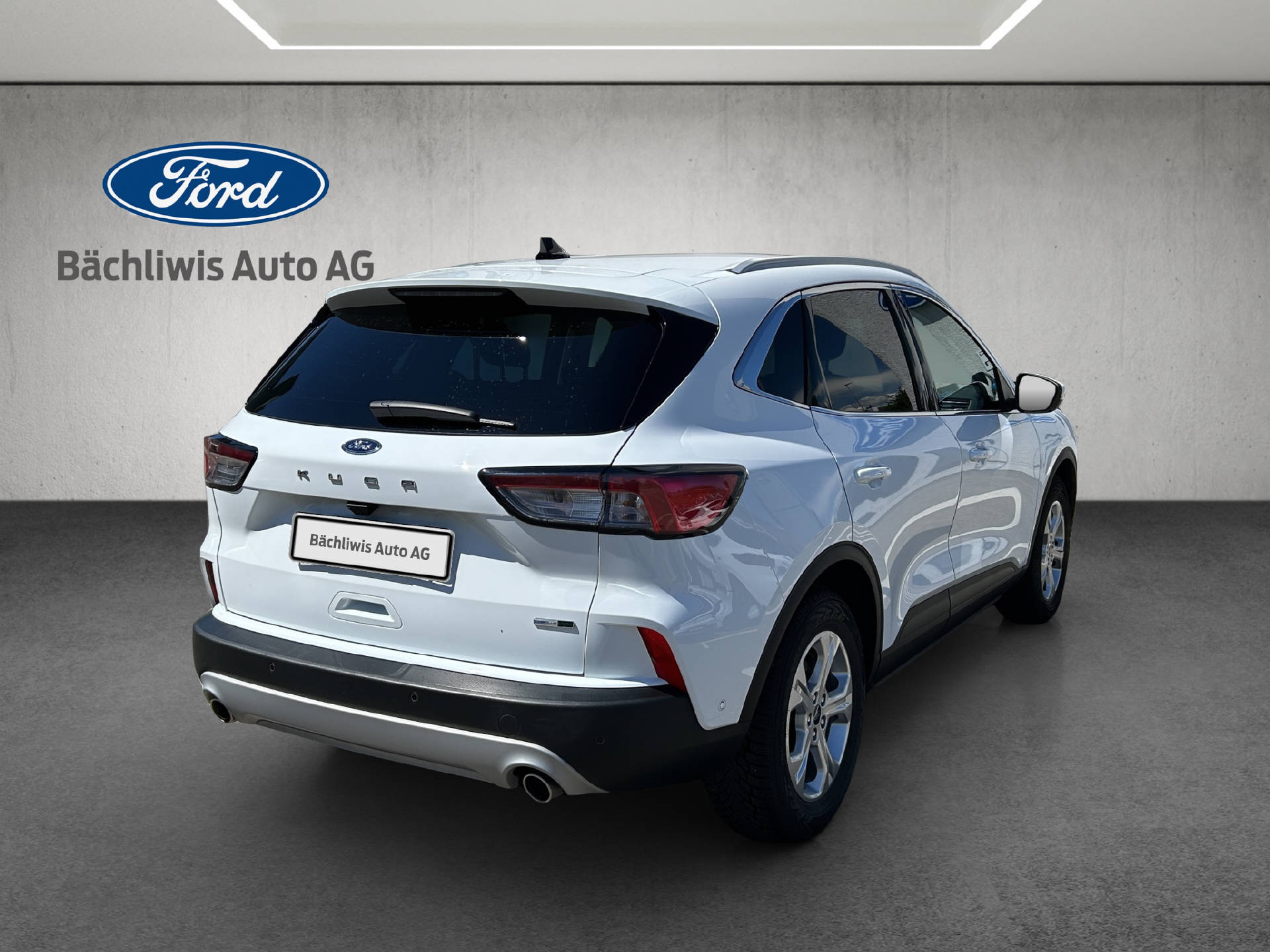 FORD Kuga 2.0 EcoBlue Hybrid Titanium X-image-4