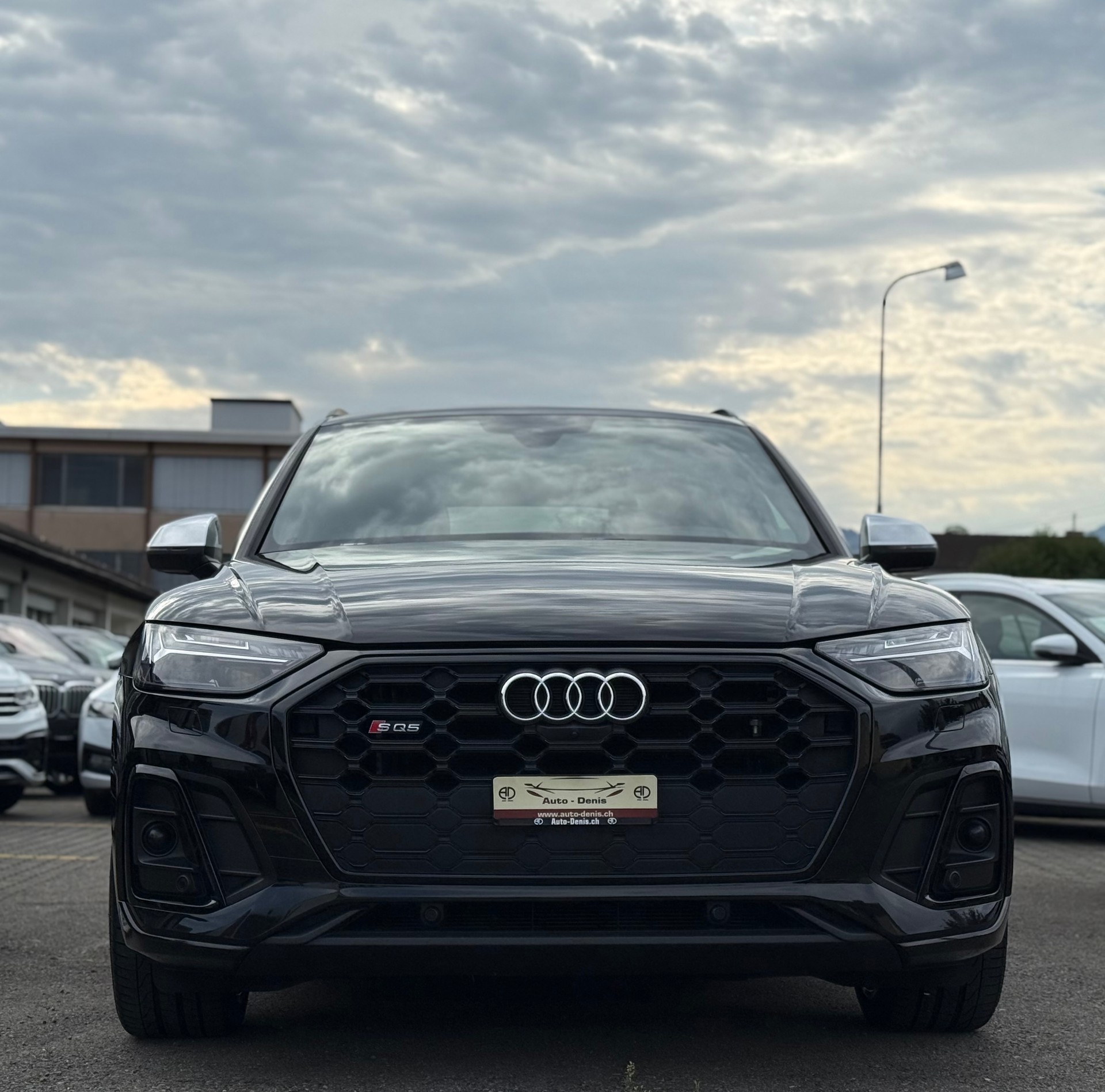 AUDI SQ5 3.0 V6 TDI quattro T-Tronic *Traumausstattung*-showroom-element-2