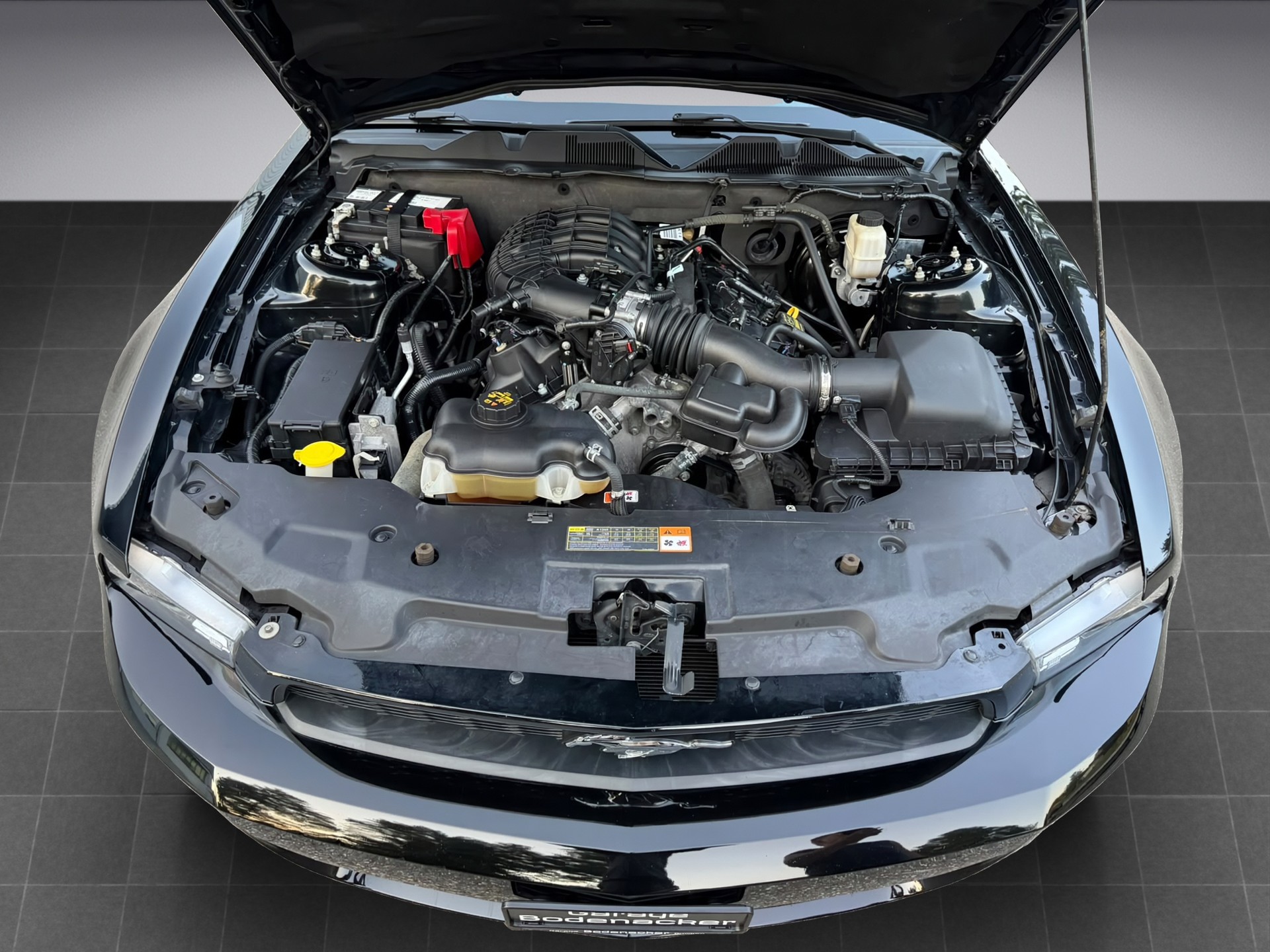 FORD 3.7 V6 Coupe - Frisch ab MFK und Service --image-15