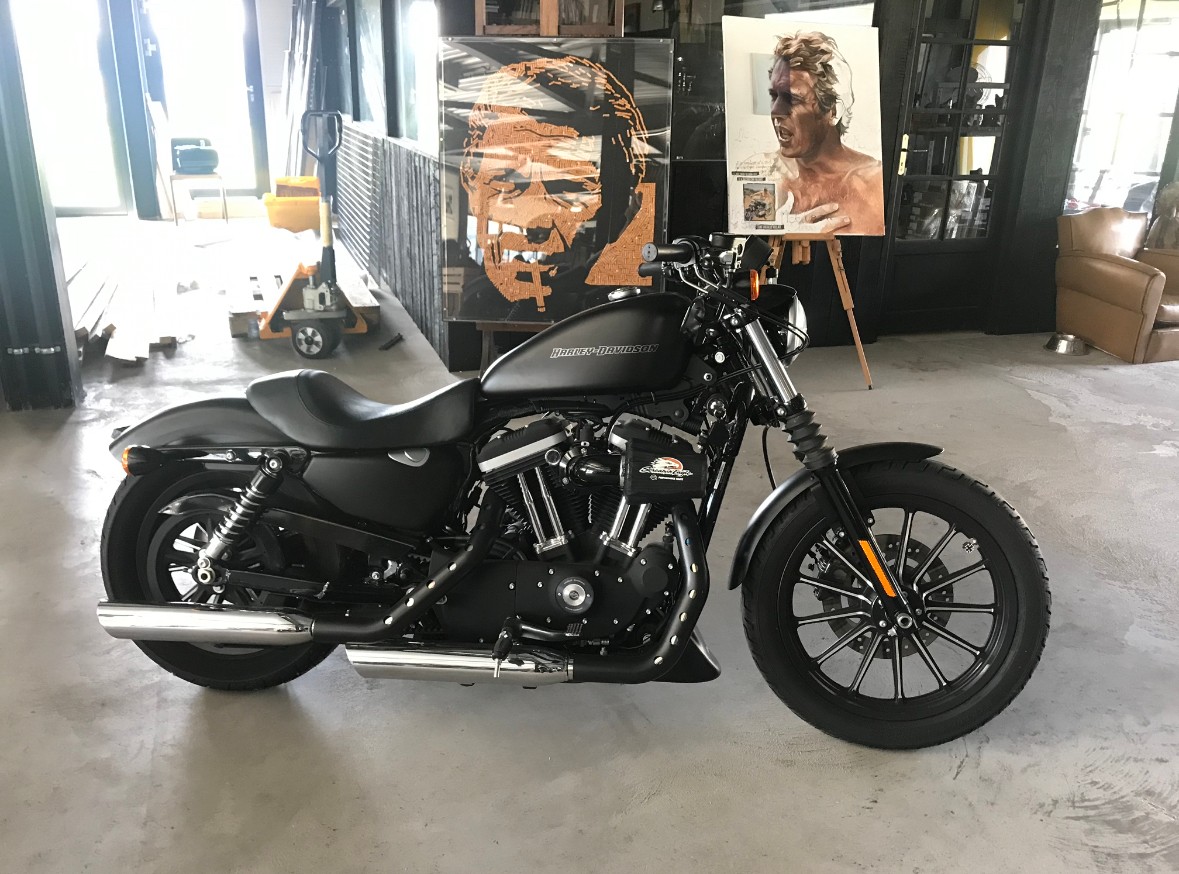 HARLEY-DAVIDSON XL 883 N Sportster Iron-image-3