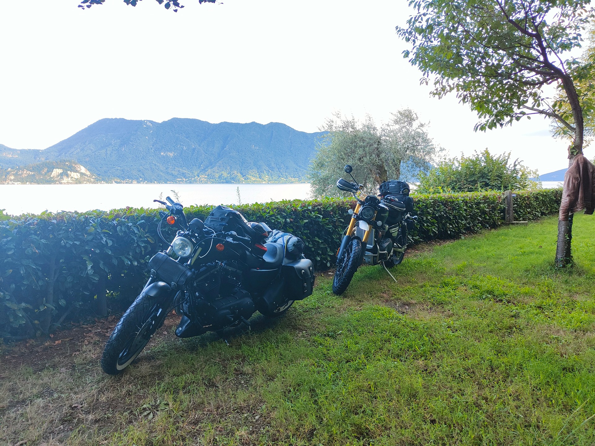 HARLEY-DAVIDSON XL 883 N Sportster Iron-image-4