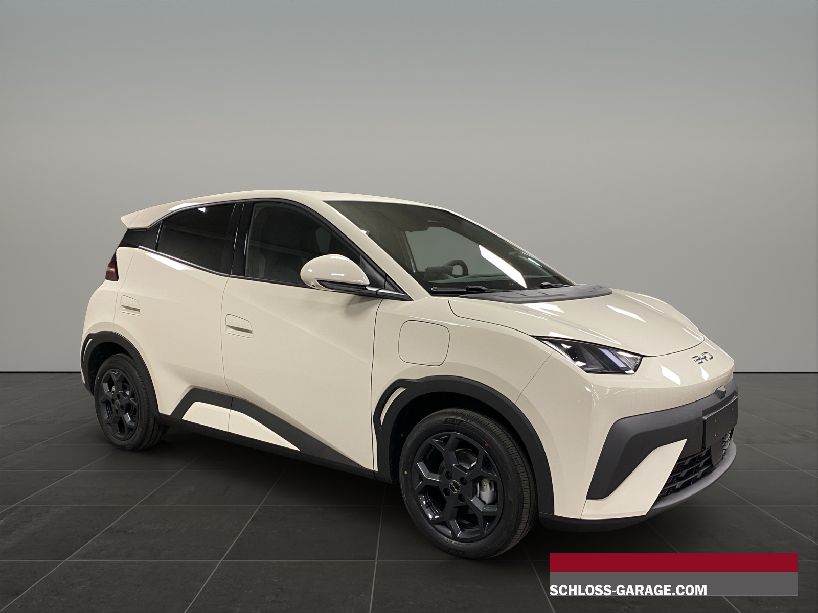 BYD Dolphin Surf Comfort-image-8