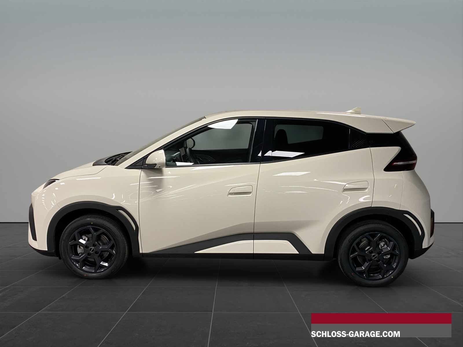 BYD Dolphin Surf Comfort-showroom-element-2