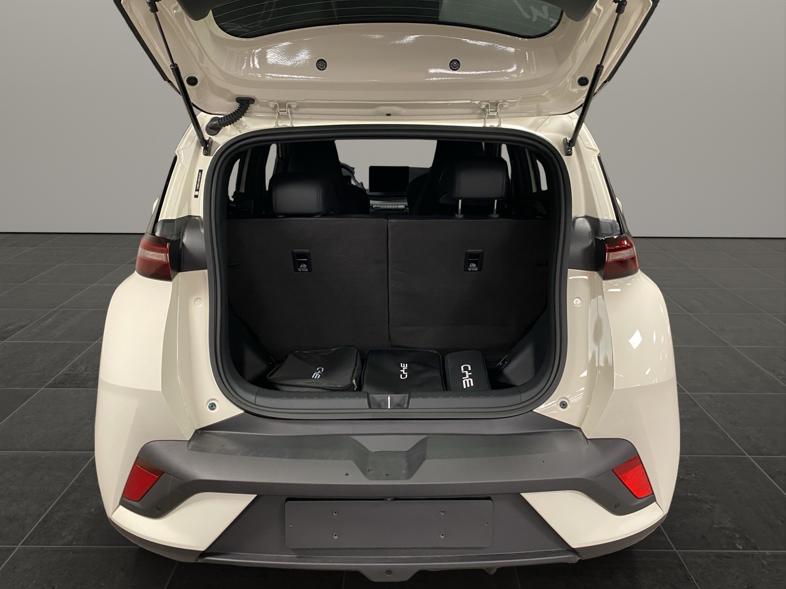 BYD Dolphin Surf Comfort-image-5