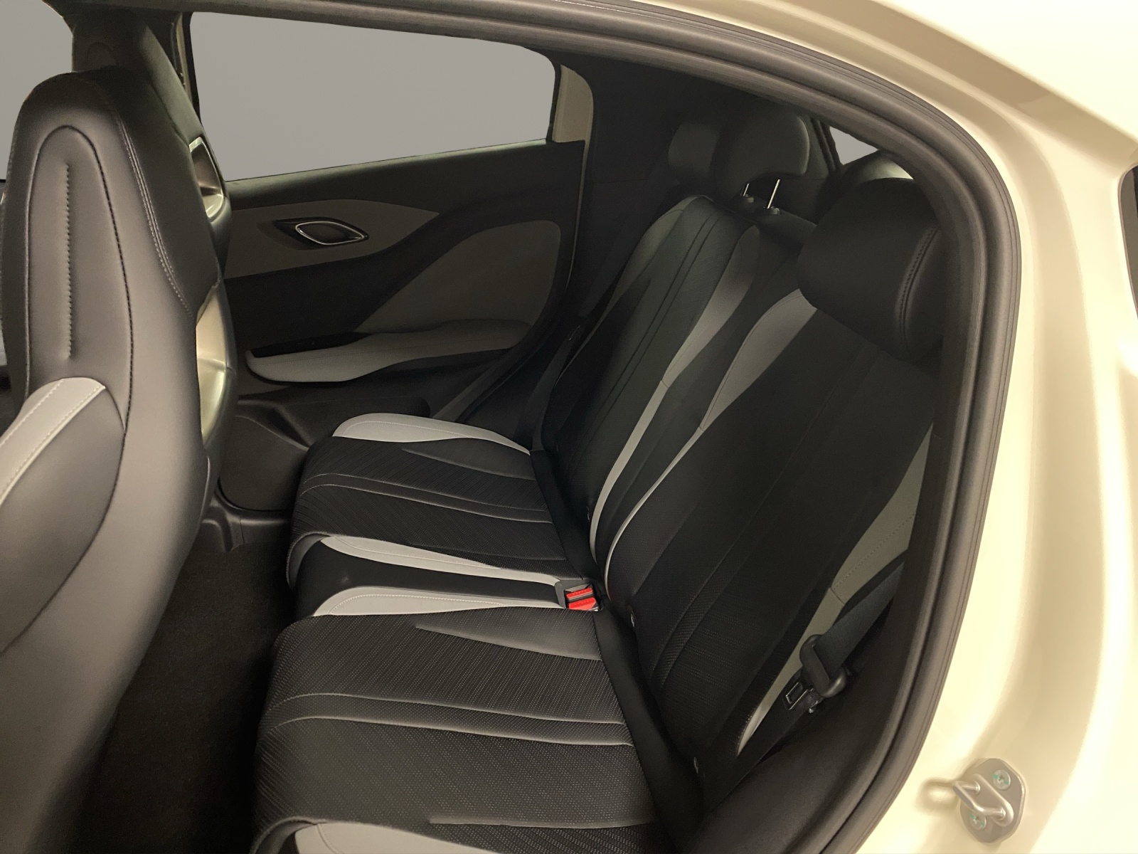 BYD Dolphin Surf Comfort-image-13