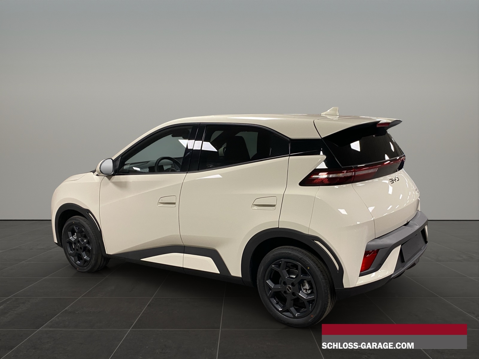 BYD Dolphin Surf Comfort-showroom-element-3