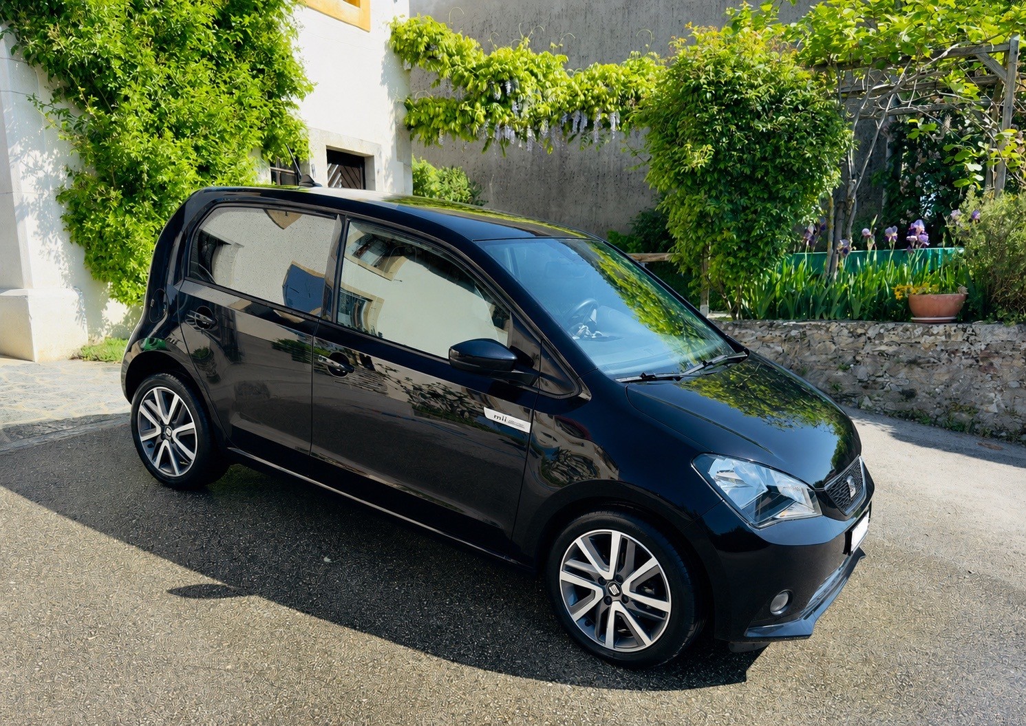 SEAT electric Plus