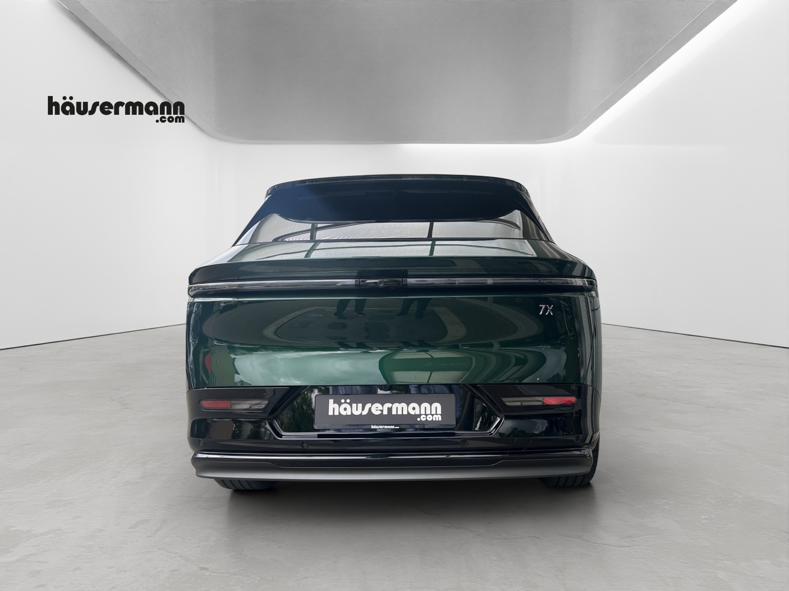 ZEEKR 7X Privilege AWD-showroom-element-3
