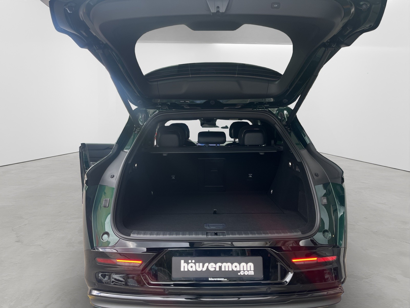 ZEEKR 7X Privilege AWD-image-4